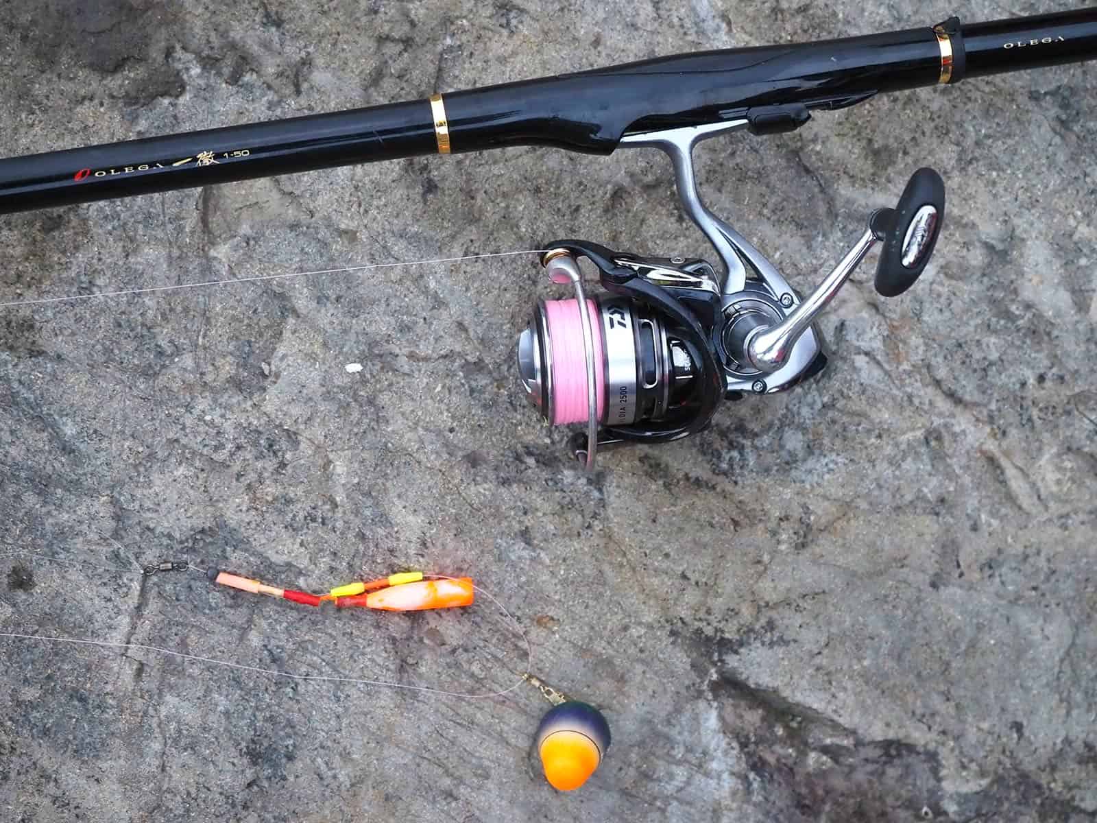 今回のタックル＝竿/オレガ磯1－50（DAIWA）、リール/カルディア2500（DAIWA）、道糸/ナイロン2号、トバシウキ＋アタリウキ、ハリス/フロロ2号、チヌバリ4号、ウキ下70cm、コマセはパン粉＋オキアミ、付け餌はオキアミ