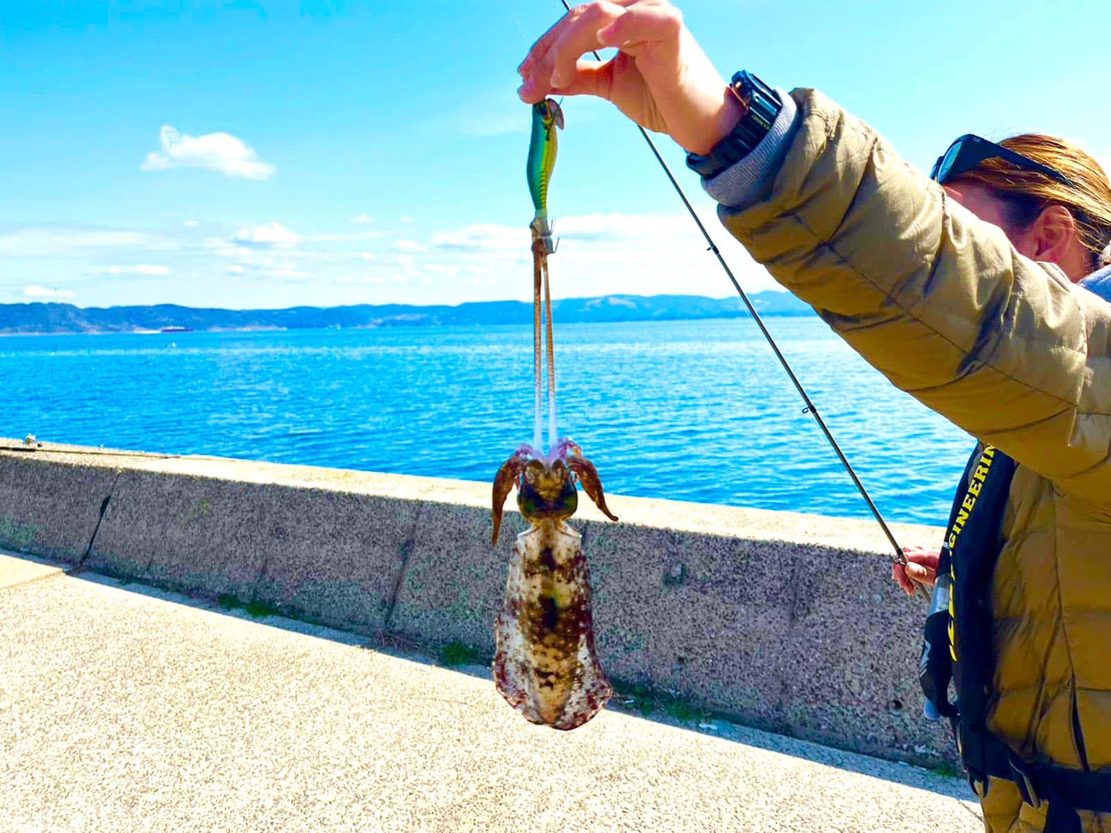 今日も来ました来ました！アオリ様！何度釣ってもこの重量感のあるイカ独特な引きはたまらない！