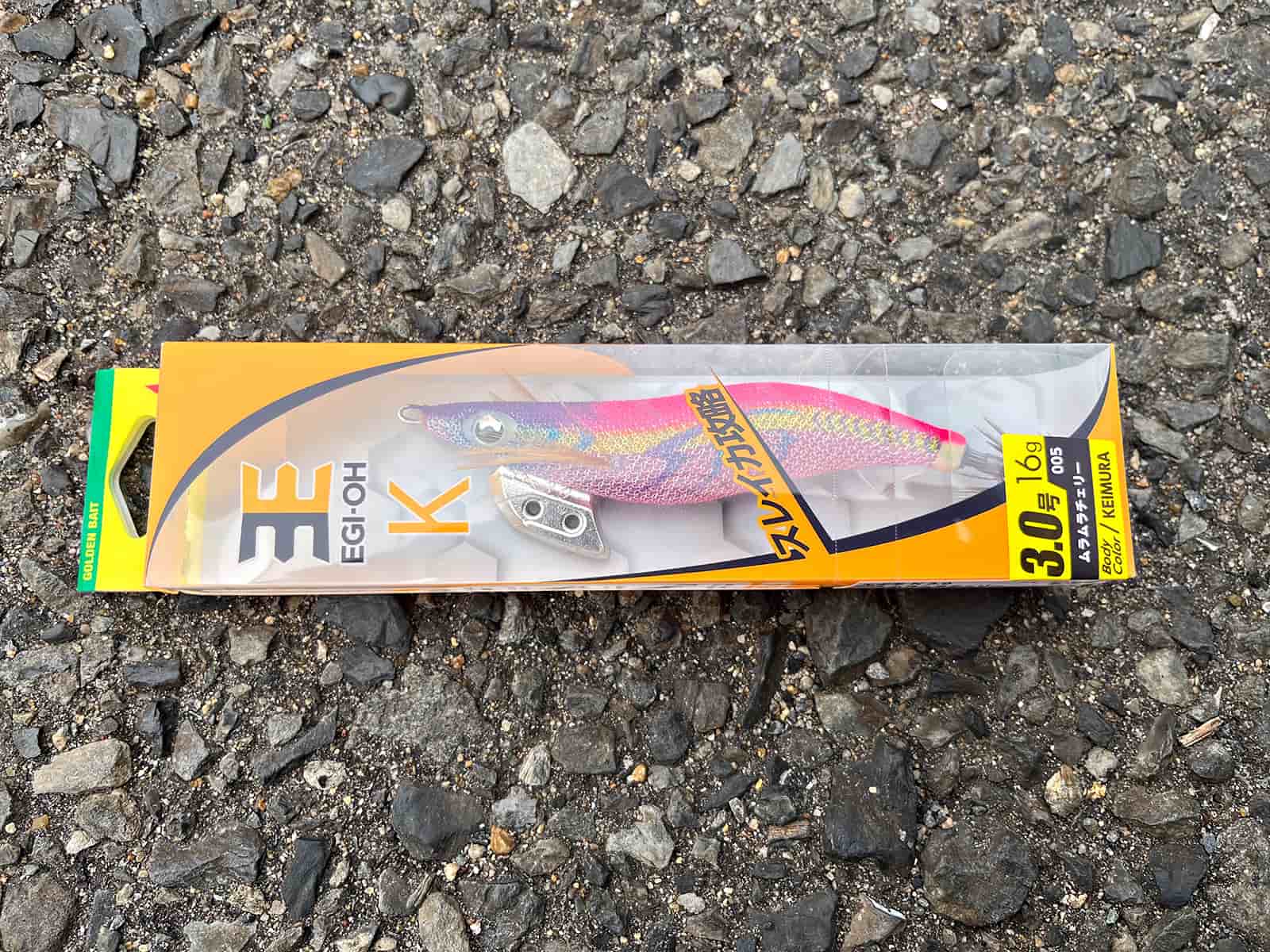 お気に入りのエギでチャレンジするも…残念