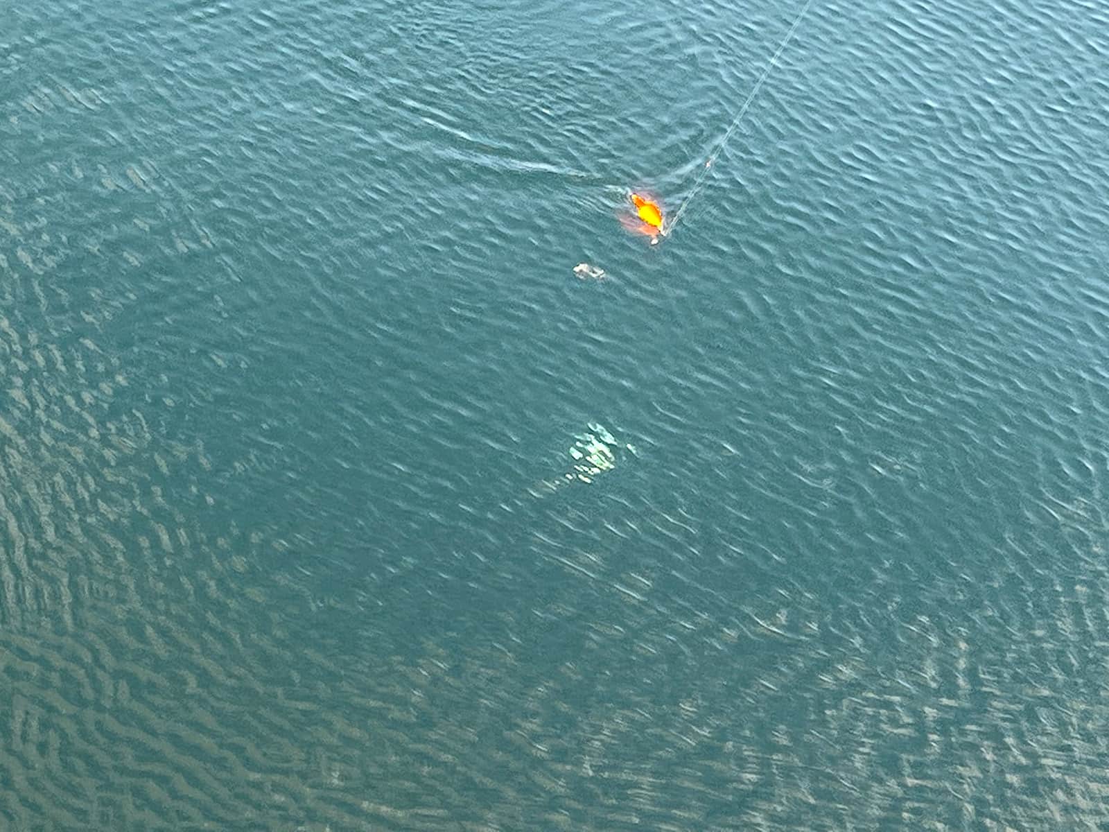 次から次へとウキが沈んでいく
