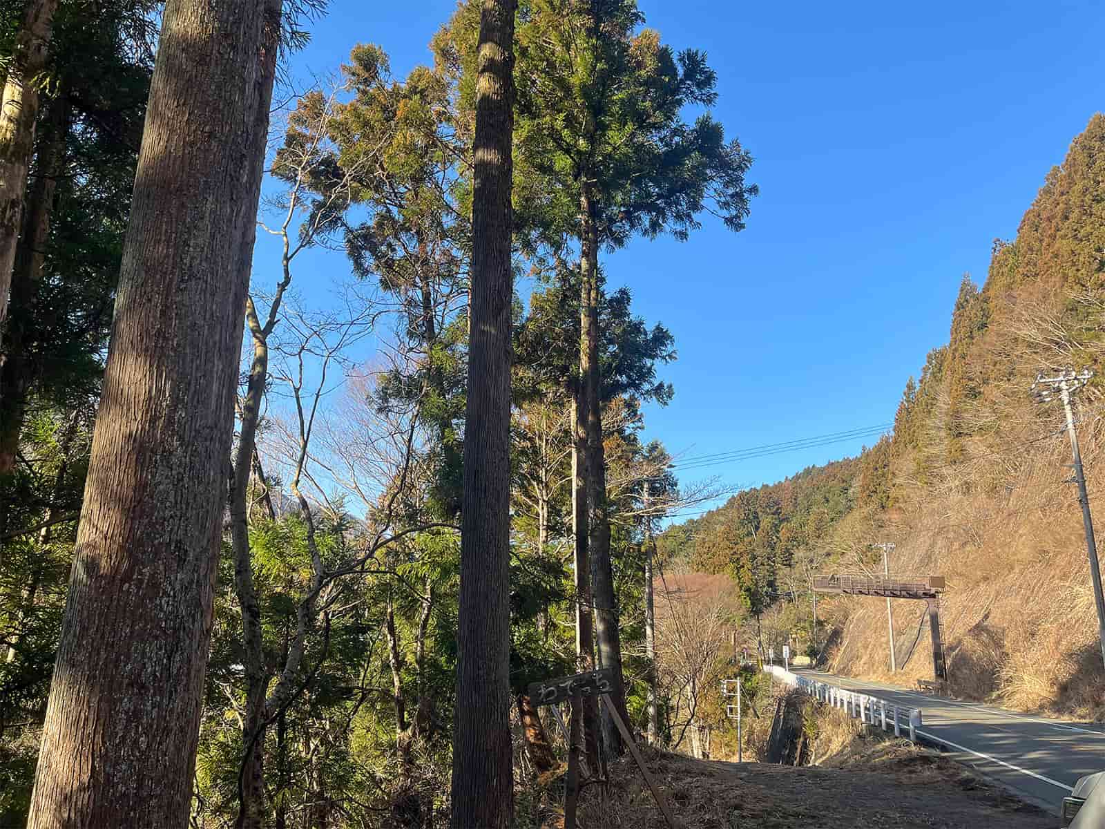 快晴、青空。遠くには真っ白な富士山も綺麗に見えていた