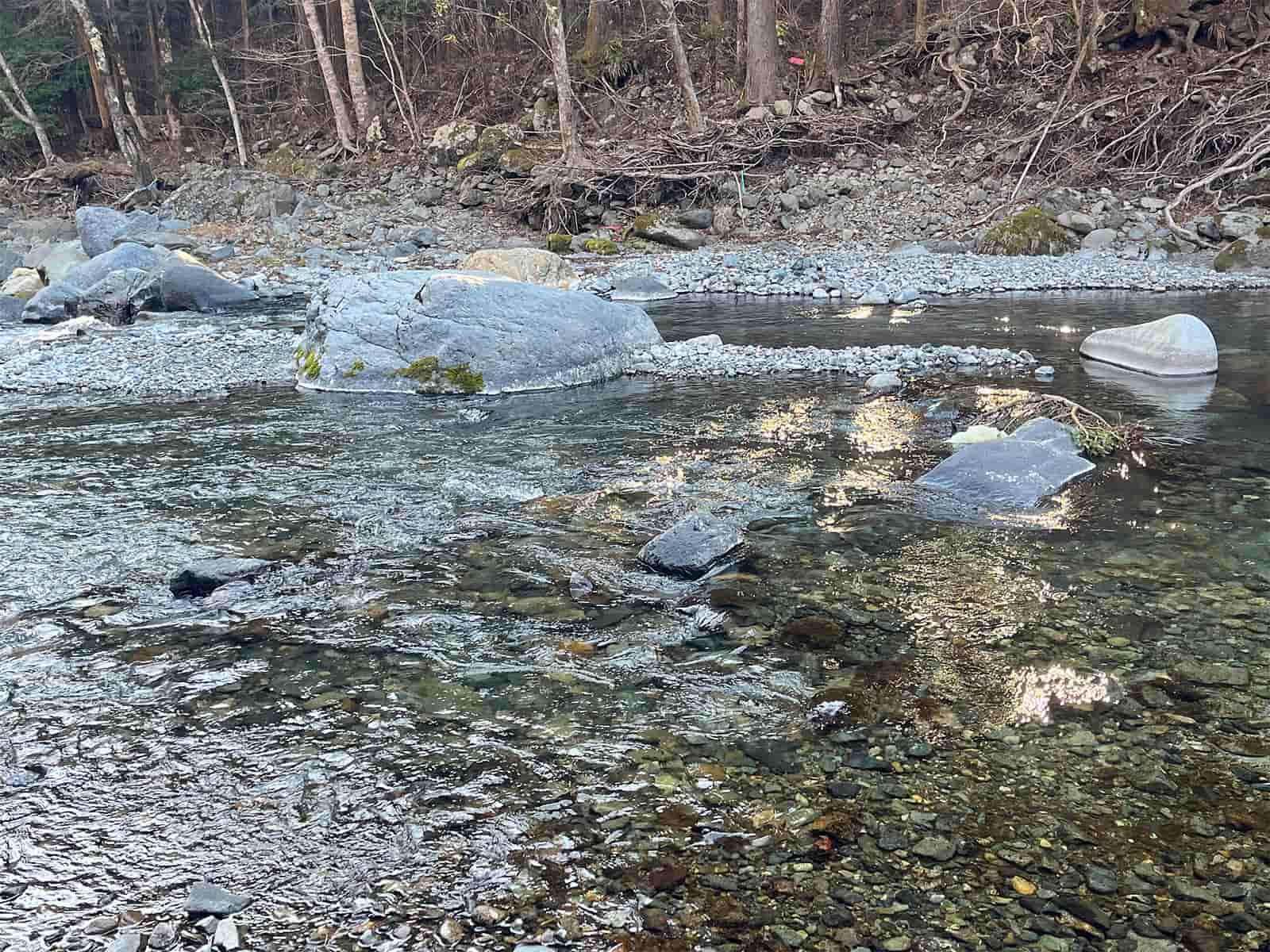どこも川は浅くなり苔も腐り気味だった