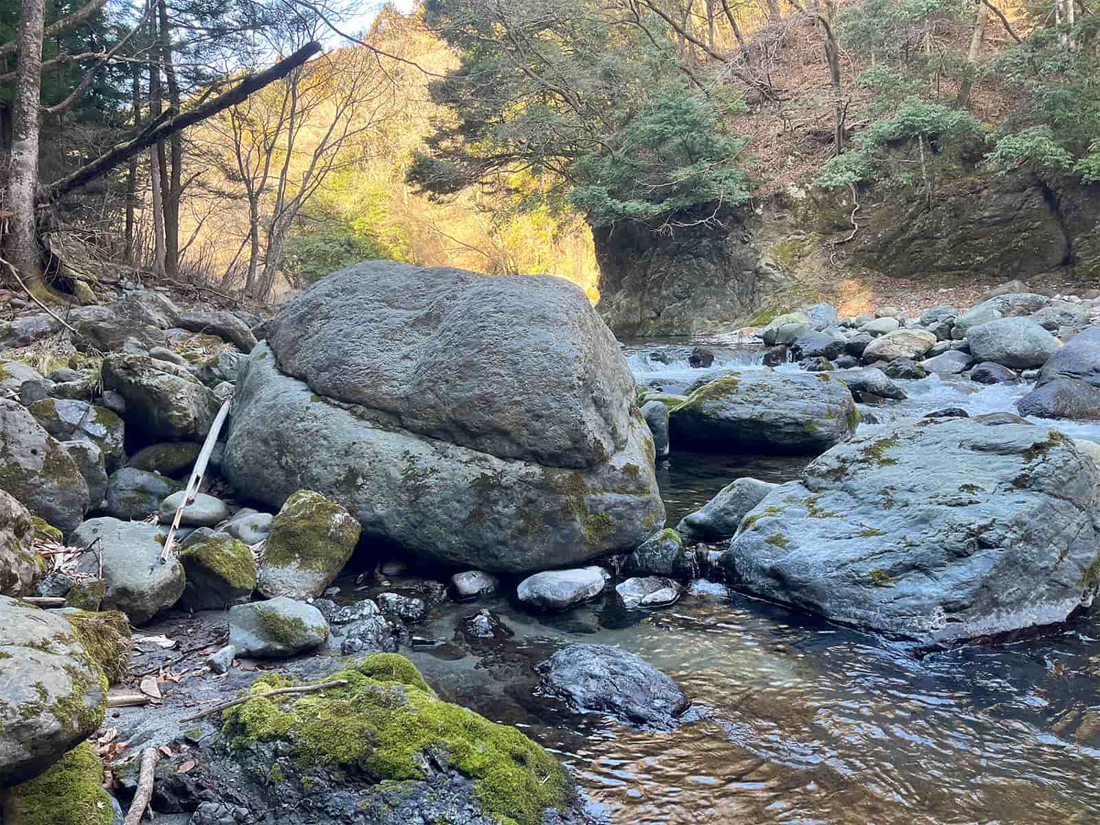 大岩を何度も越えた。足も腰も痛い。久々の川歩きはハードだった