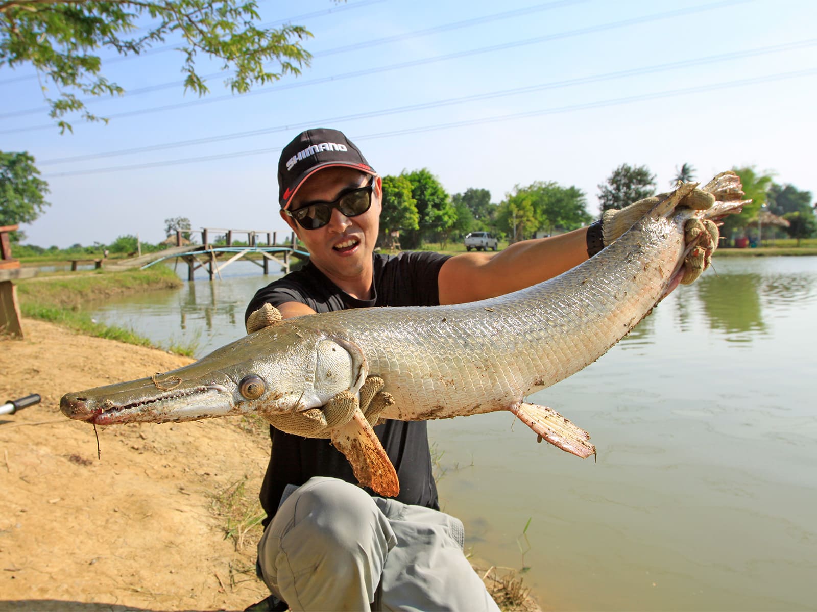 タイのアマゾンBKKという怪魚釣り堀にて、ガイドのジャクリットが釣ってみせてくれた中型のアリゲーターガー。このときはルアーで釣れた。ジャクリット的には臭くてあまり好きではないらしい。ここでもちょっと哀しい