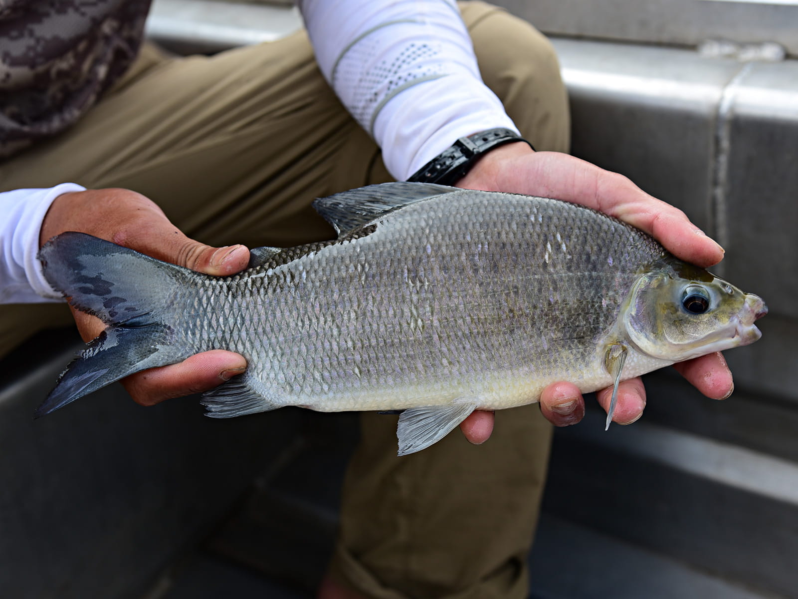 ンボト。釣り方に奥深さがあり、我々を楽しませてくれた