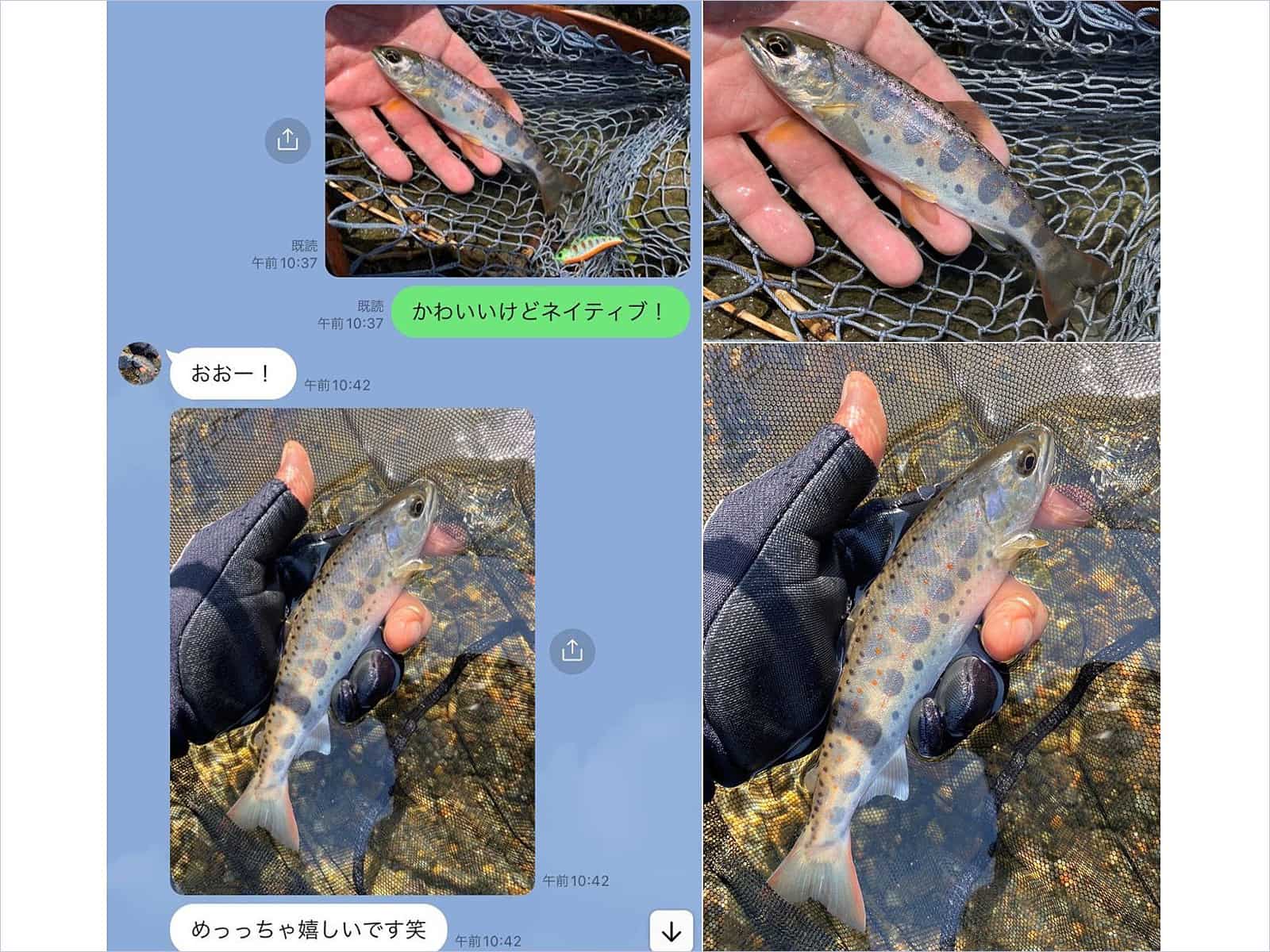 後輩から突き付けられた惚れ惚れするような美形アマゴ。この日、梅ちゃんにレンタルしたのは7ftの中流域用トラウトロッド。ネットはアユダモ。私は5ftグラスロッドに2000番のハイギアリール。ラインはPE0.6号+リーダー6LB