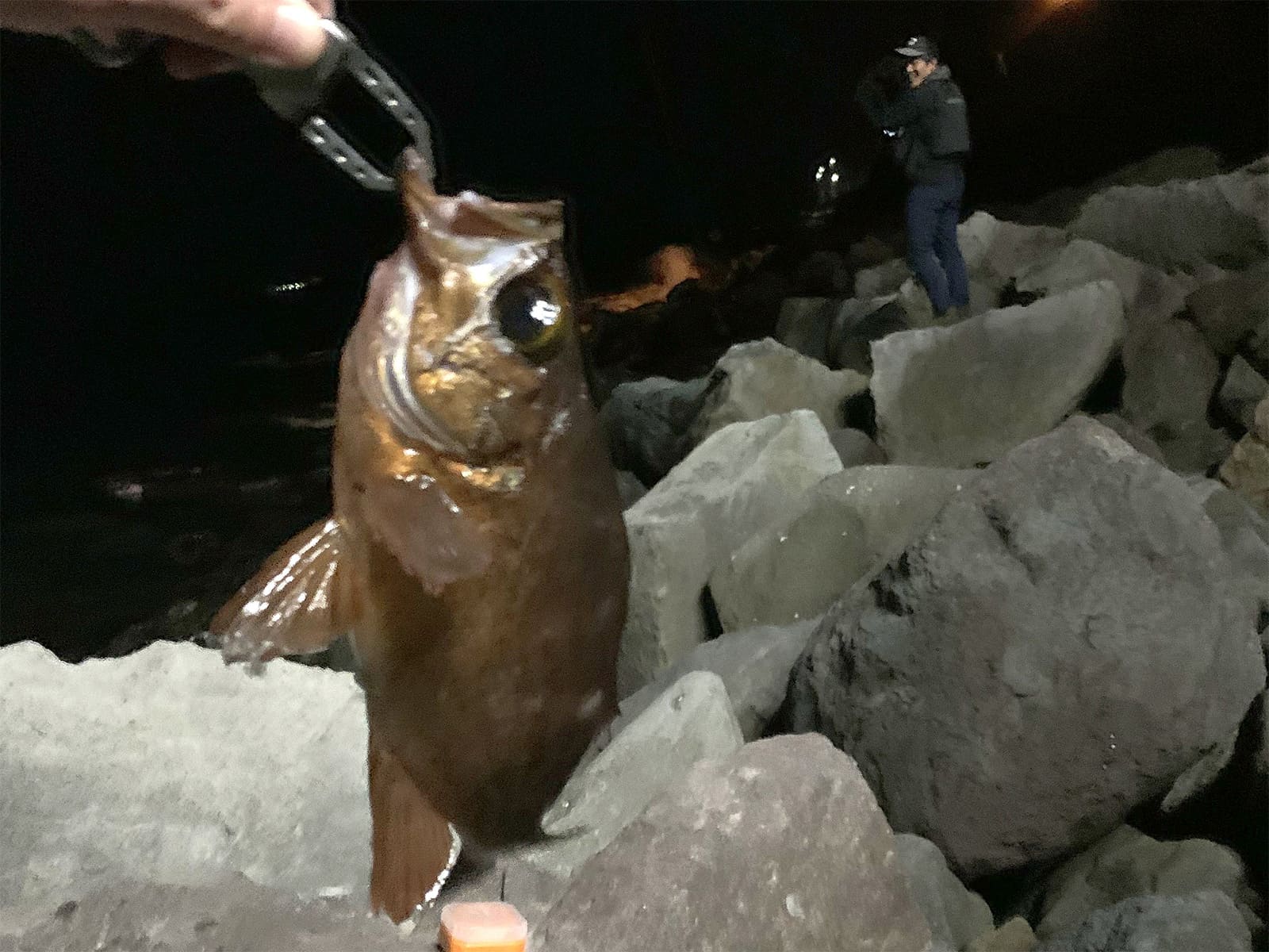 「頑張れ！釣れるぞ！ほらまた釣れた！」と励まし続けるも、若者の表情からはどんどん生気がなくなっていく…