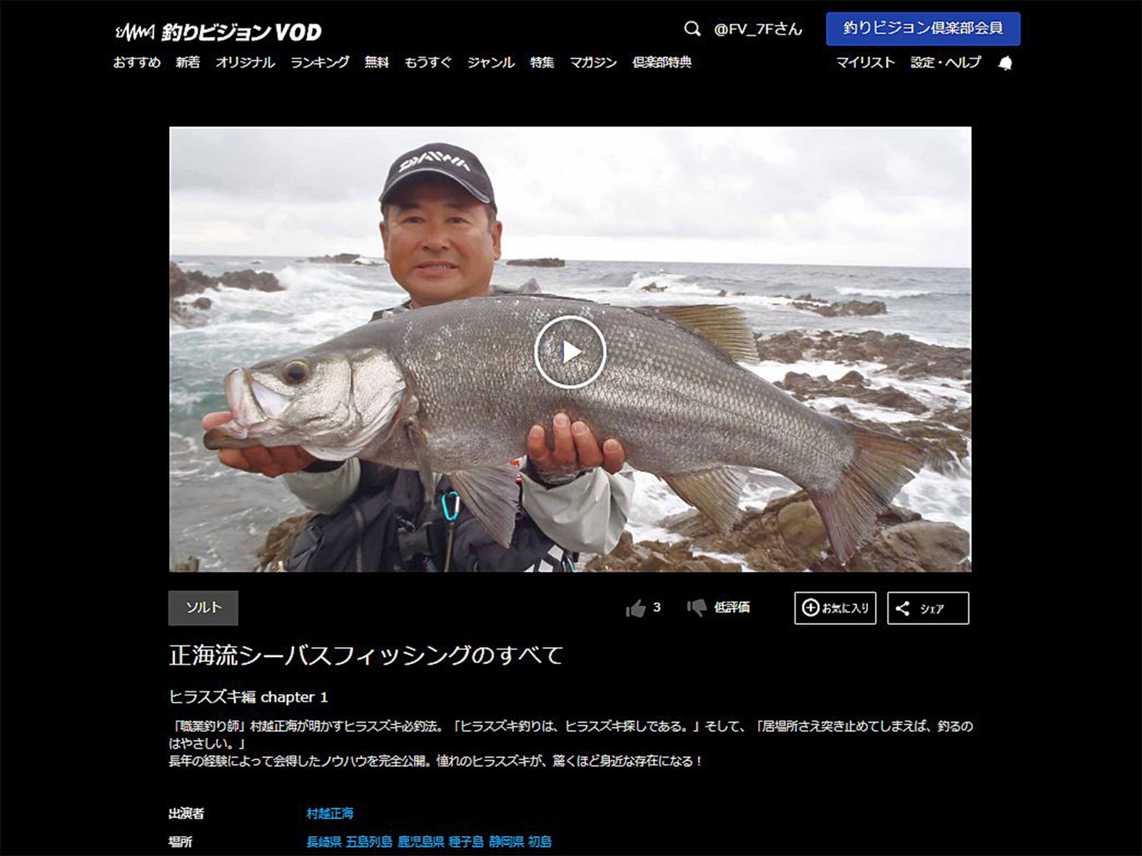 正海流シーバスフィッシングのすべて ヒラスズキ編