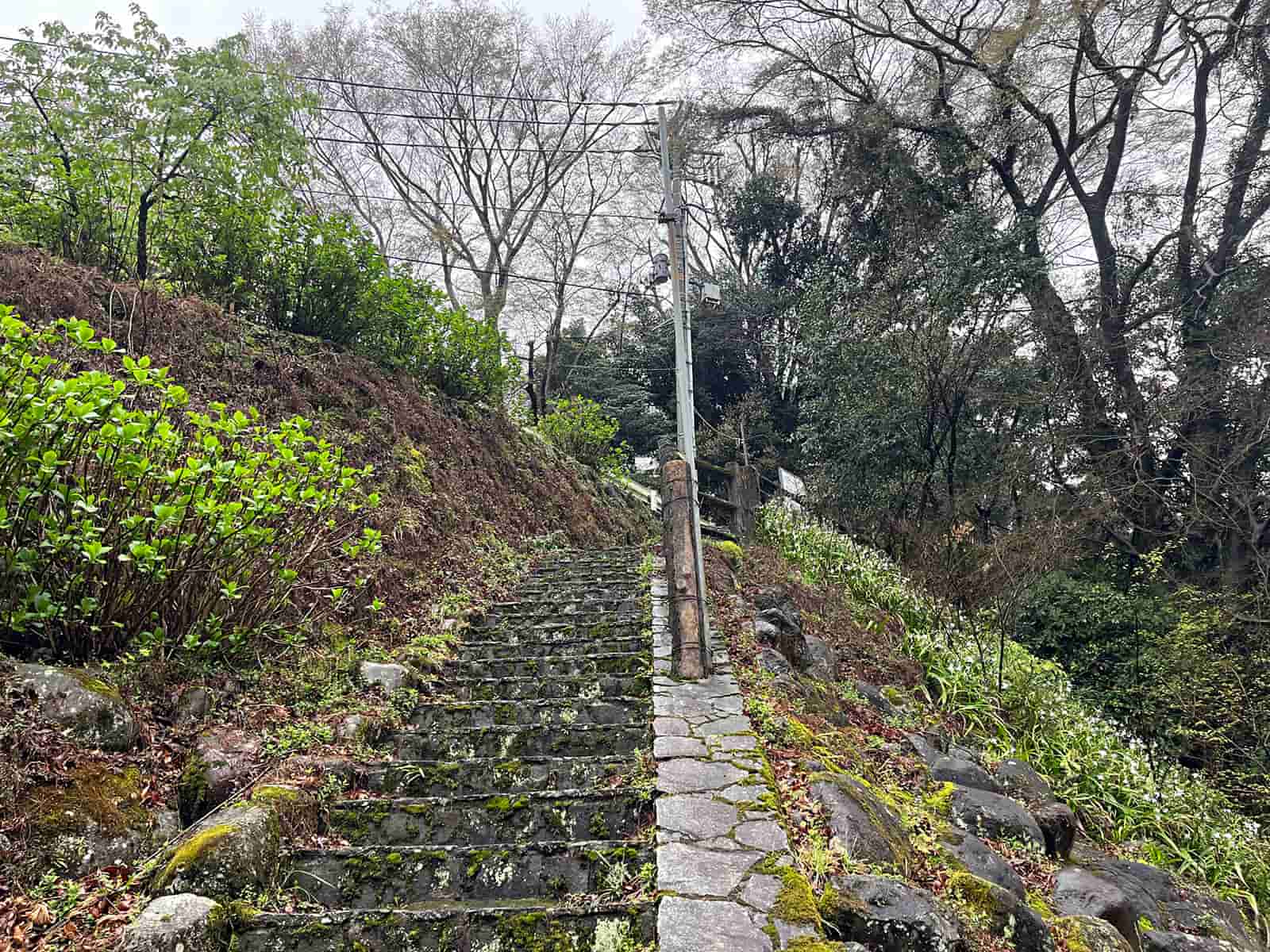 湯本のポイントは階段もあり入渓が簡単だ。足場も良く陸からの釣りも出来る