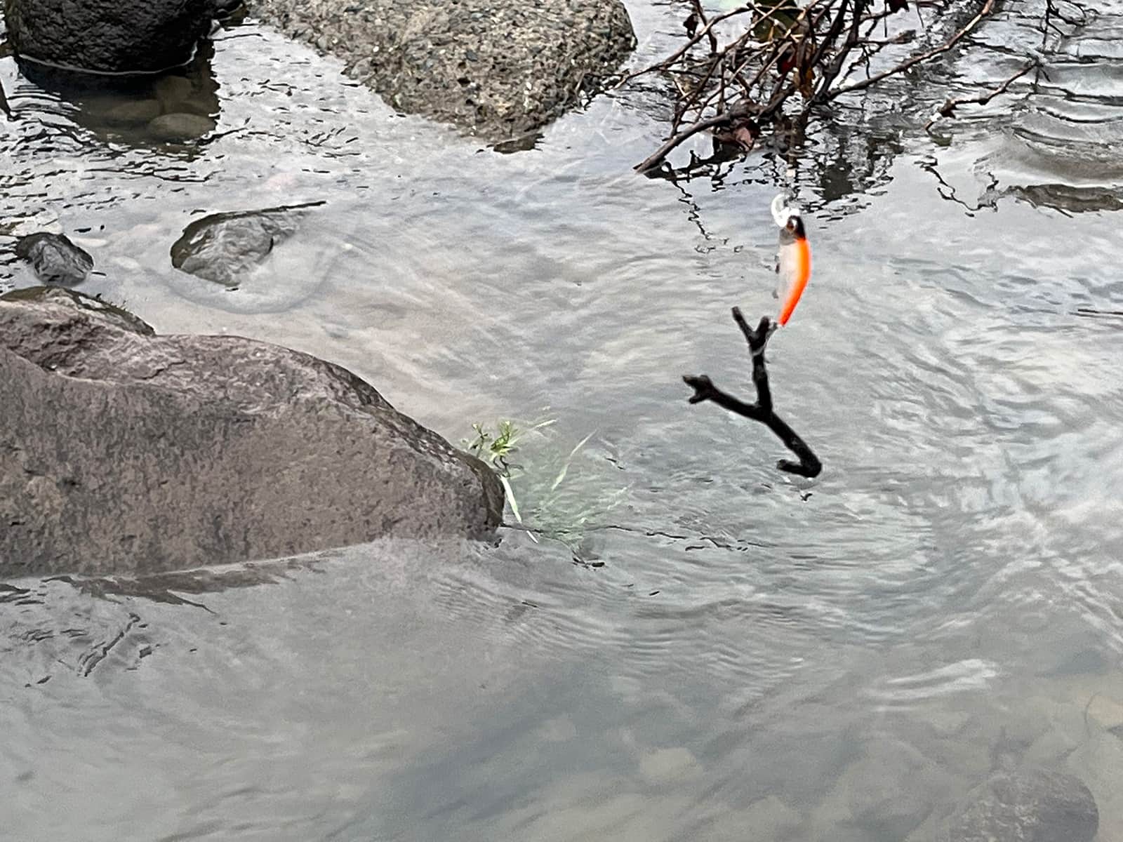 枝や草なども流れてきて根掛かりも多かった