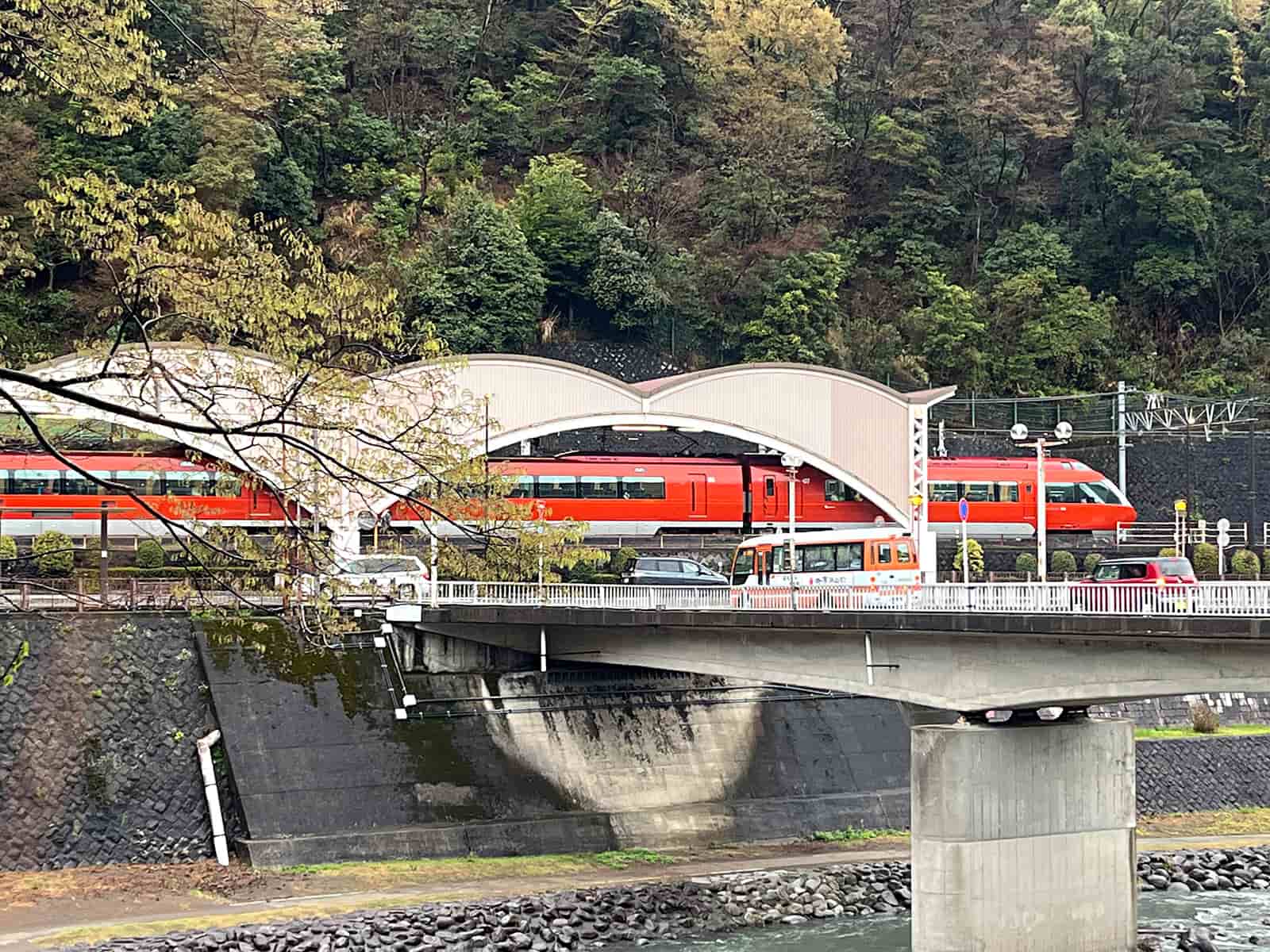 川に釣り人はいなかったが、雨の箱根には多くの観光客の姿があった