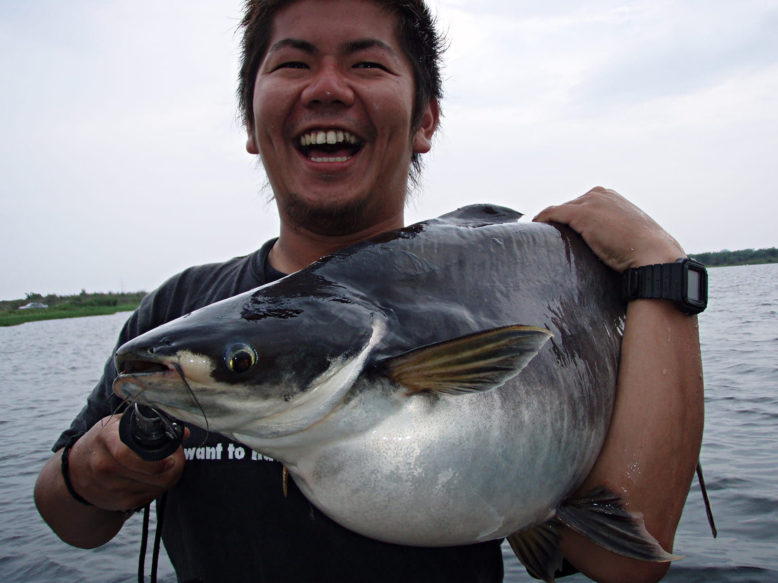 マレーシアの野池で桃太郎の桃のように流されてきたメコンオオナマズ（たぶん）を小野寺万世さんが捕獲。巨体よりもそれぞれの顔に目がいく