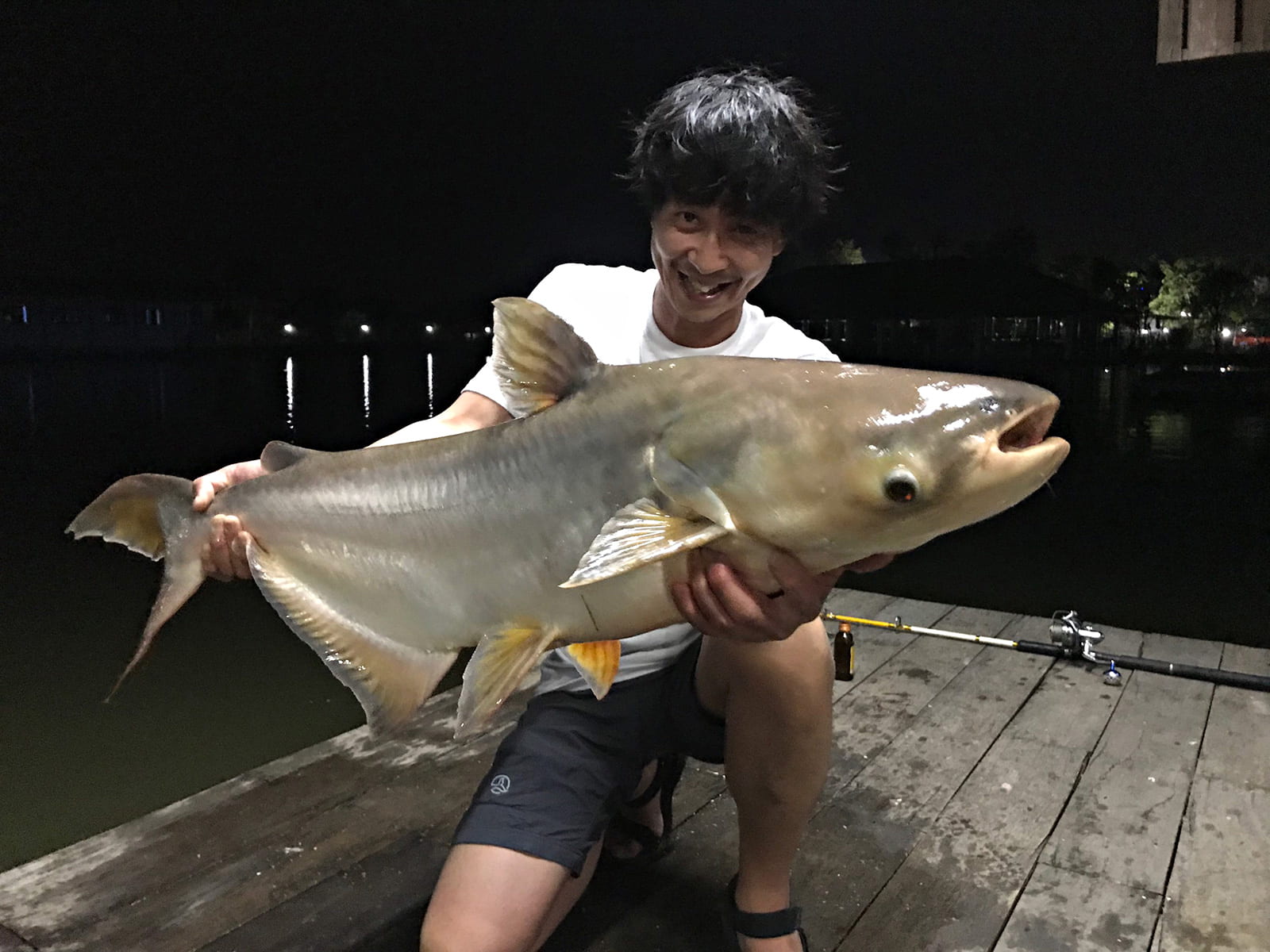 小林さんが釣ったメコンオオナマズ。ヒレピンで肌艶もよく、健康的な個体だった