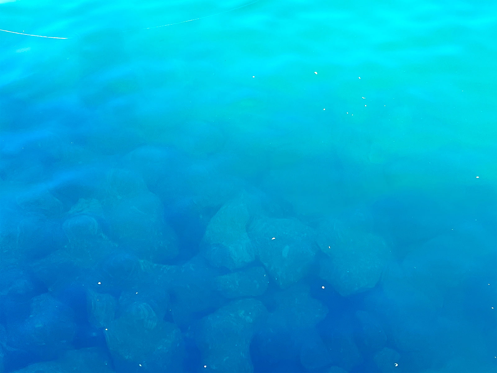 海は透明度が高く魚達の姿がよく見えた