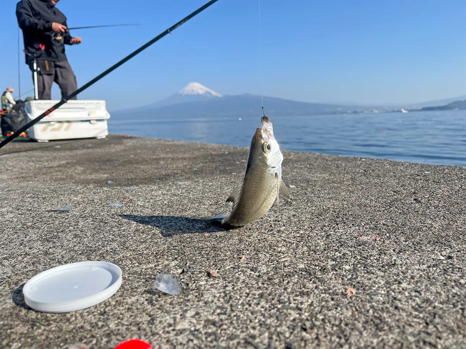 遠投するとテンポよく釣れる！中々の引きだ