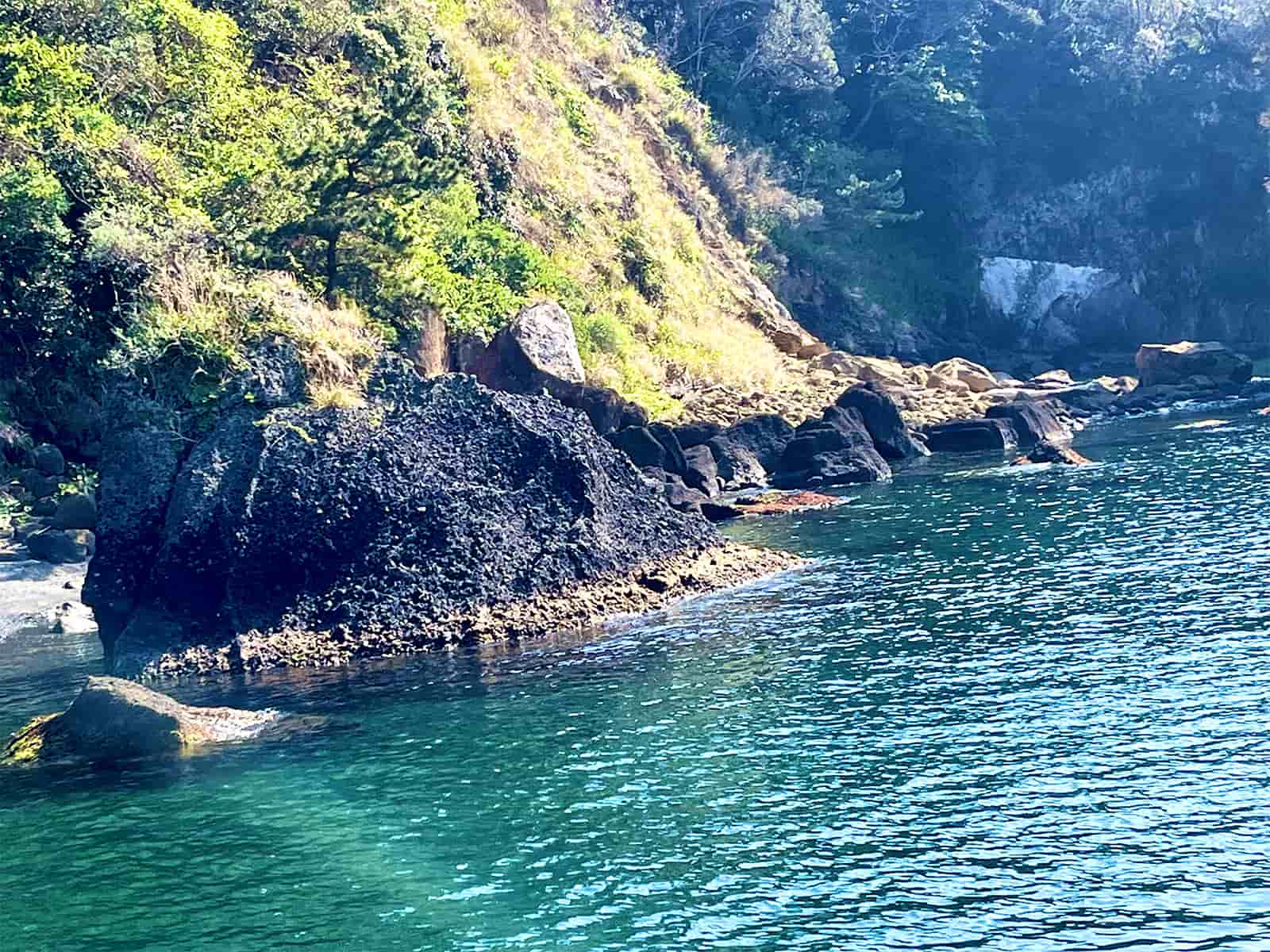 仁科は変化に富んだよい感じの磯場が続く