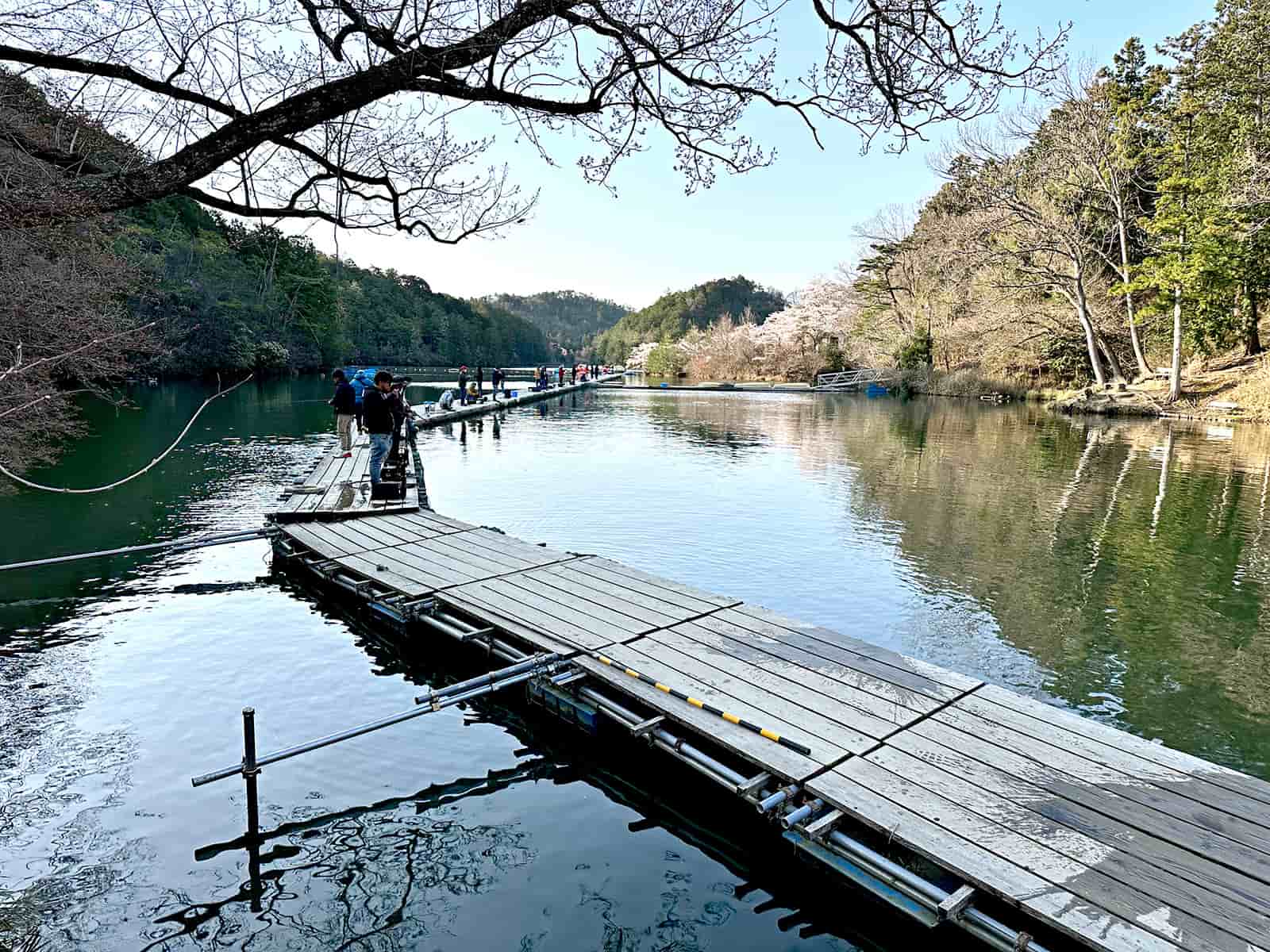 この桟橋を中心に釣りをする