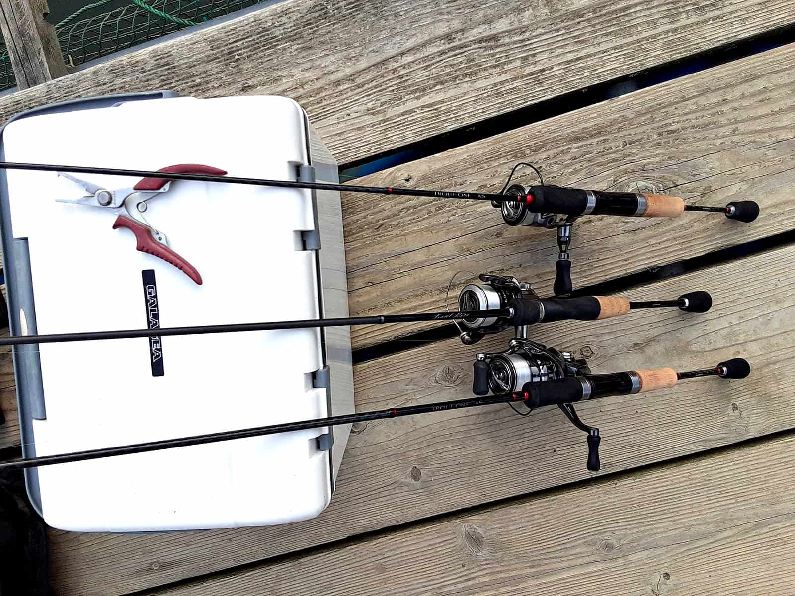 この日のタックル、XULアクションに3lb、SULアクションに4lb、ULアクションに5lbのロッドと、フロロラインで挑んだ