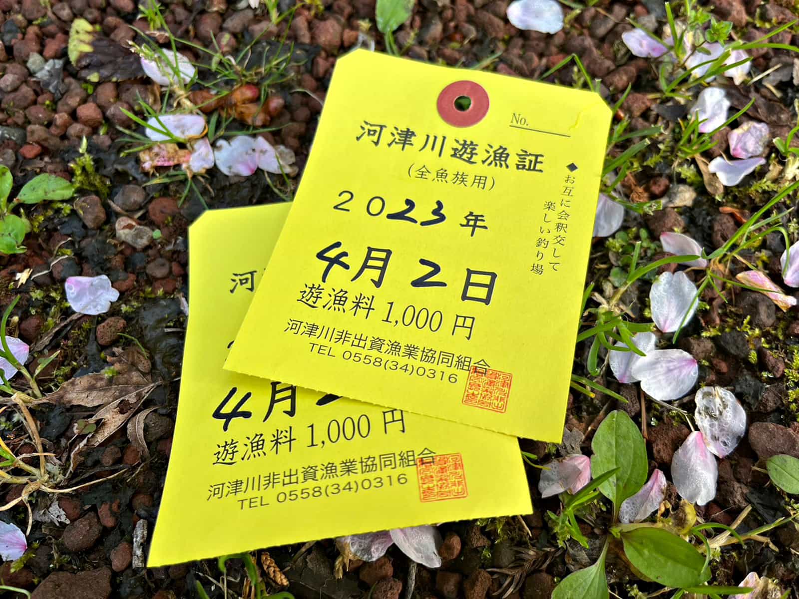 日釣券は男女問わず1000円