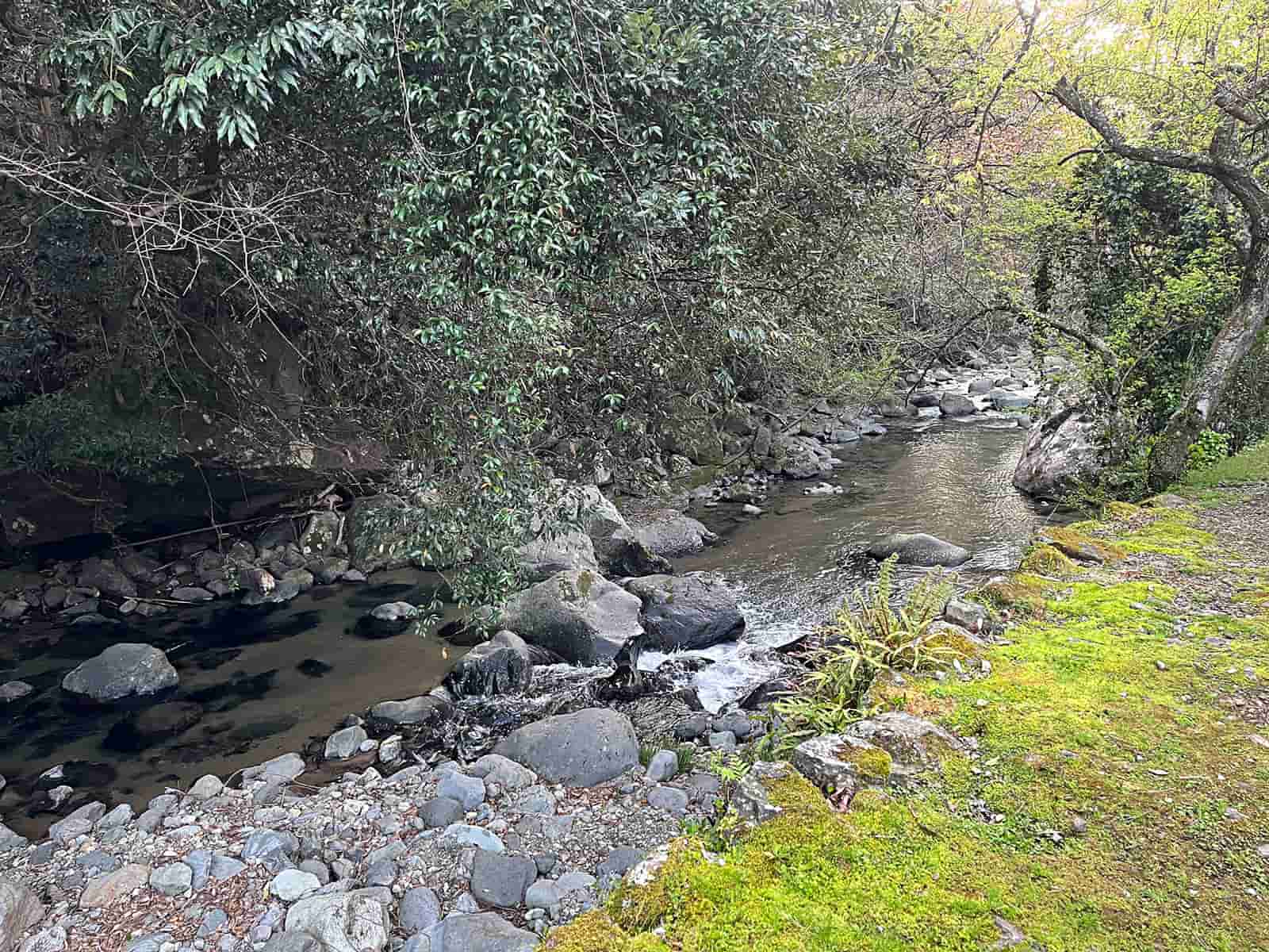 下流方向は河津川合流まで釣り歩ける