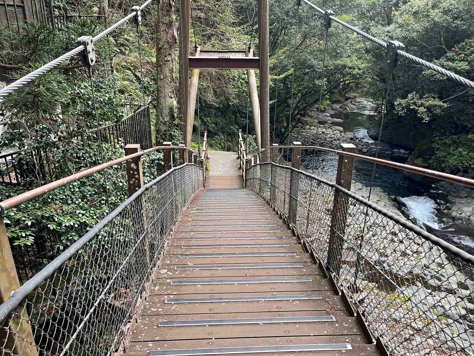 遊歩道には大きな吊り橋や急な階段がある