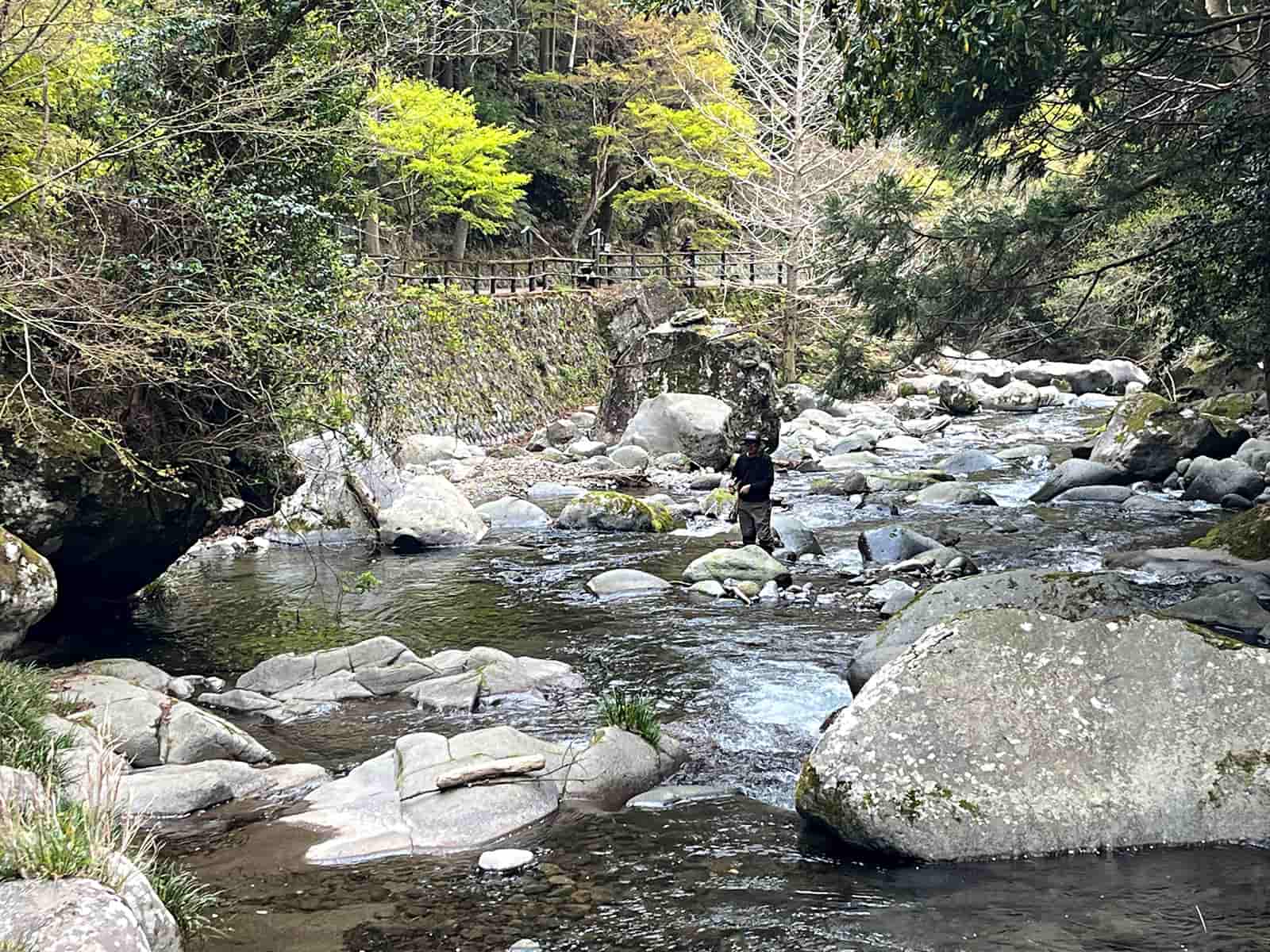 相方の釣りを遊歩道から見ているとチェイスの全貌が目視できる