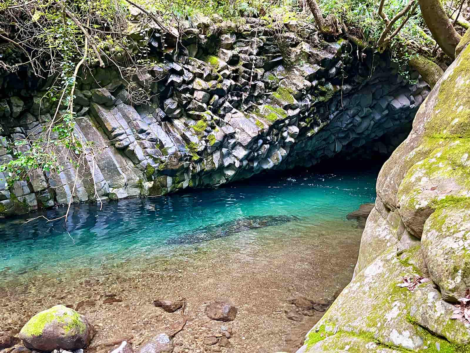 竿を出すだけでも癒される景色が続く