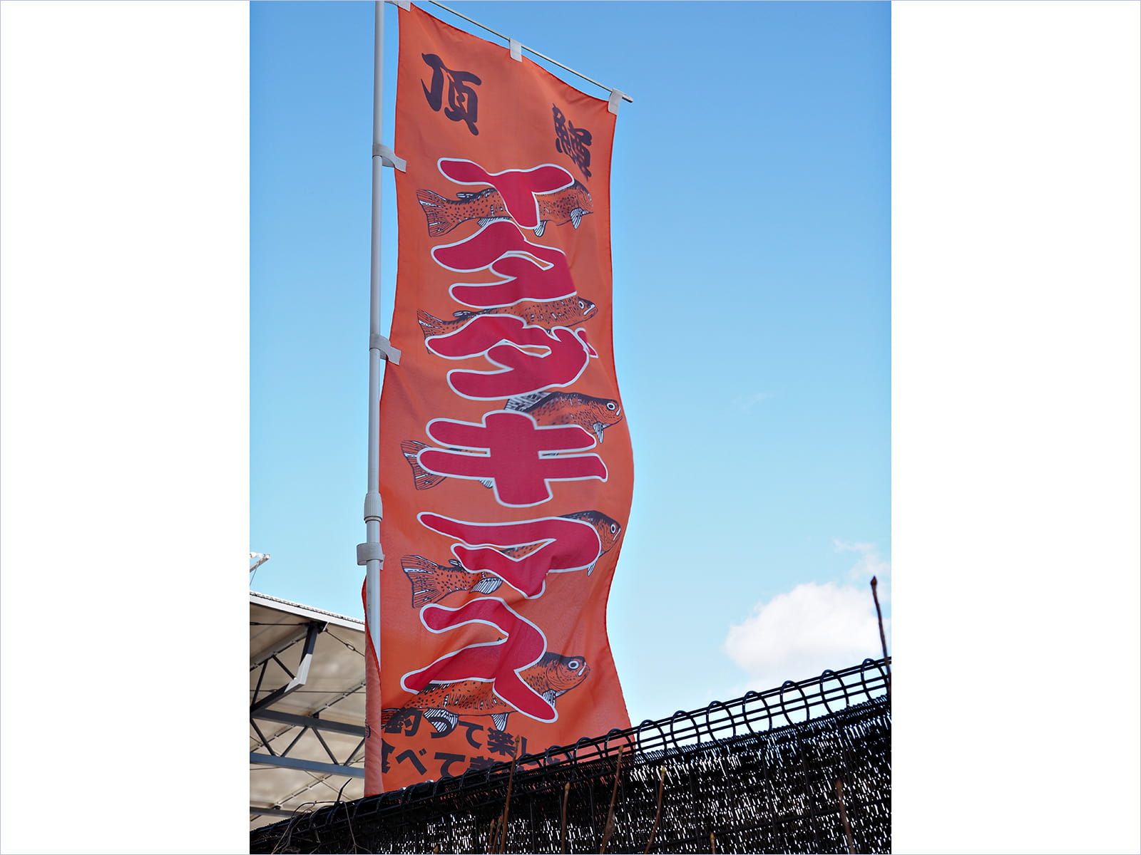 OyamaWaterPark遊水園にたなびく『イタダキマス（頂鱒）』のノボリ。このブランド鱒を目当てに訪れるアングラーも多い