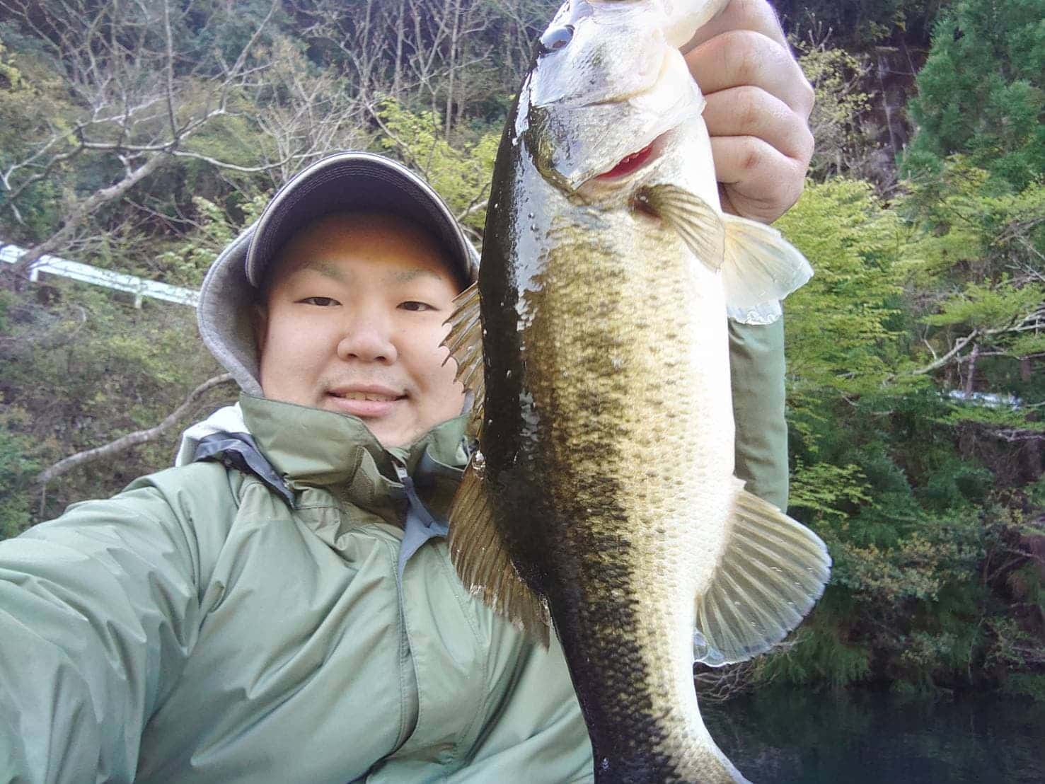 シャローのナイスバス2