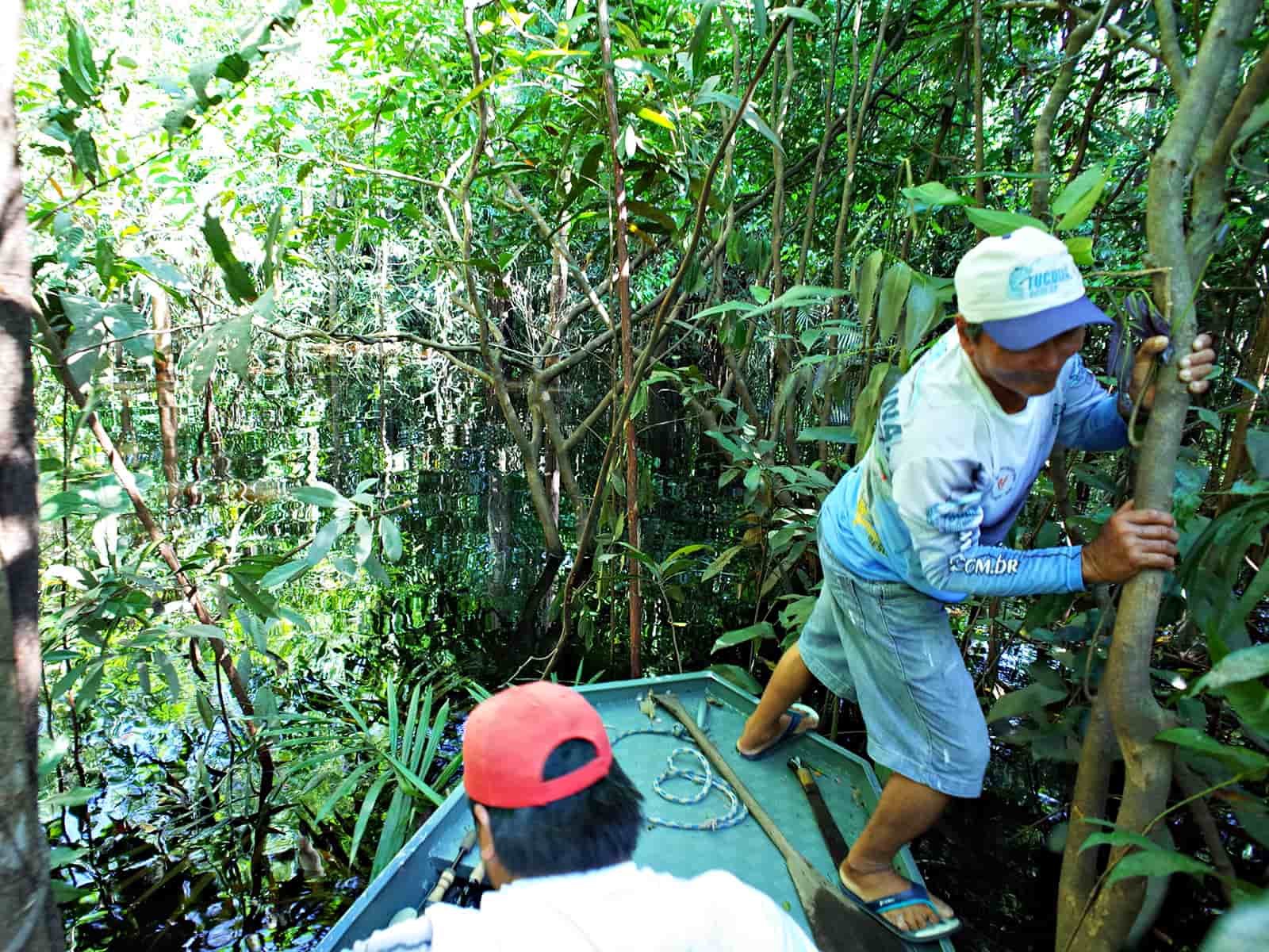 ジャングルを強引にかき分け、その奥にある残存湖を目指す