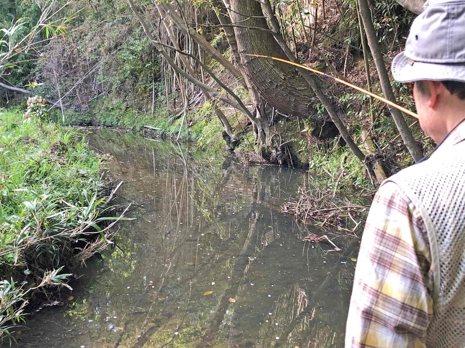 抜き上げるときは頭上の木に注意が必要
