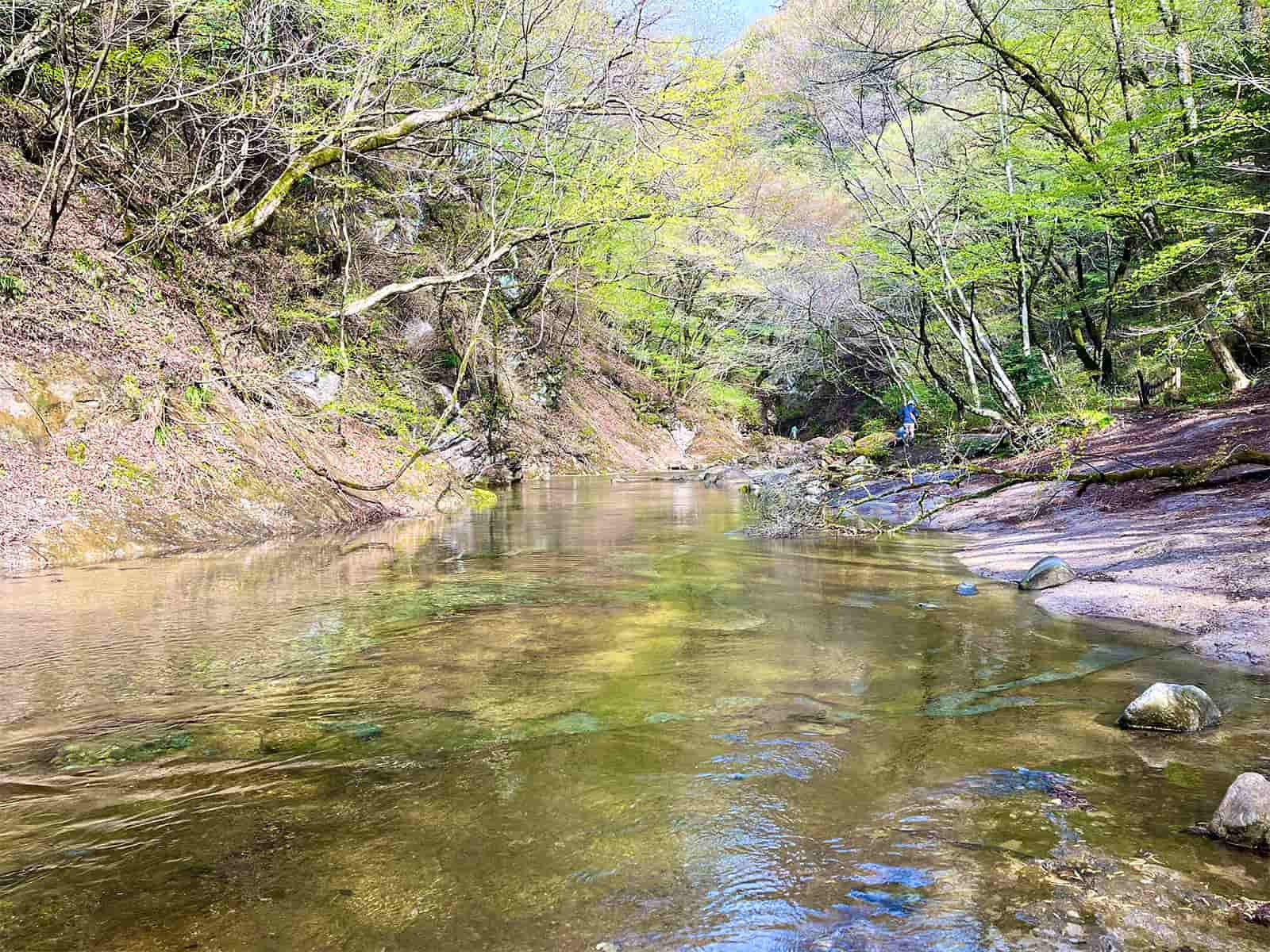 よさそうなポイントが点在するも先行者の姿が…