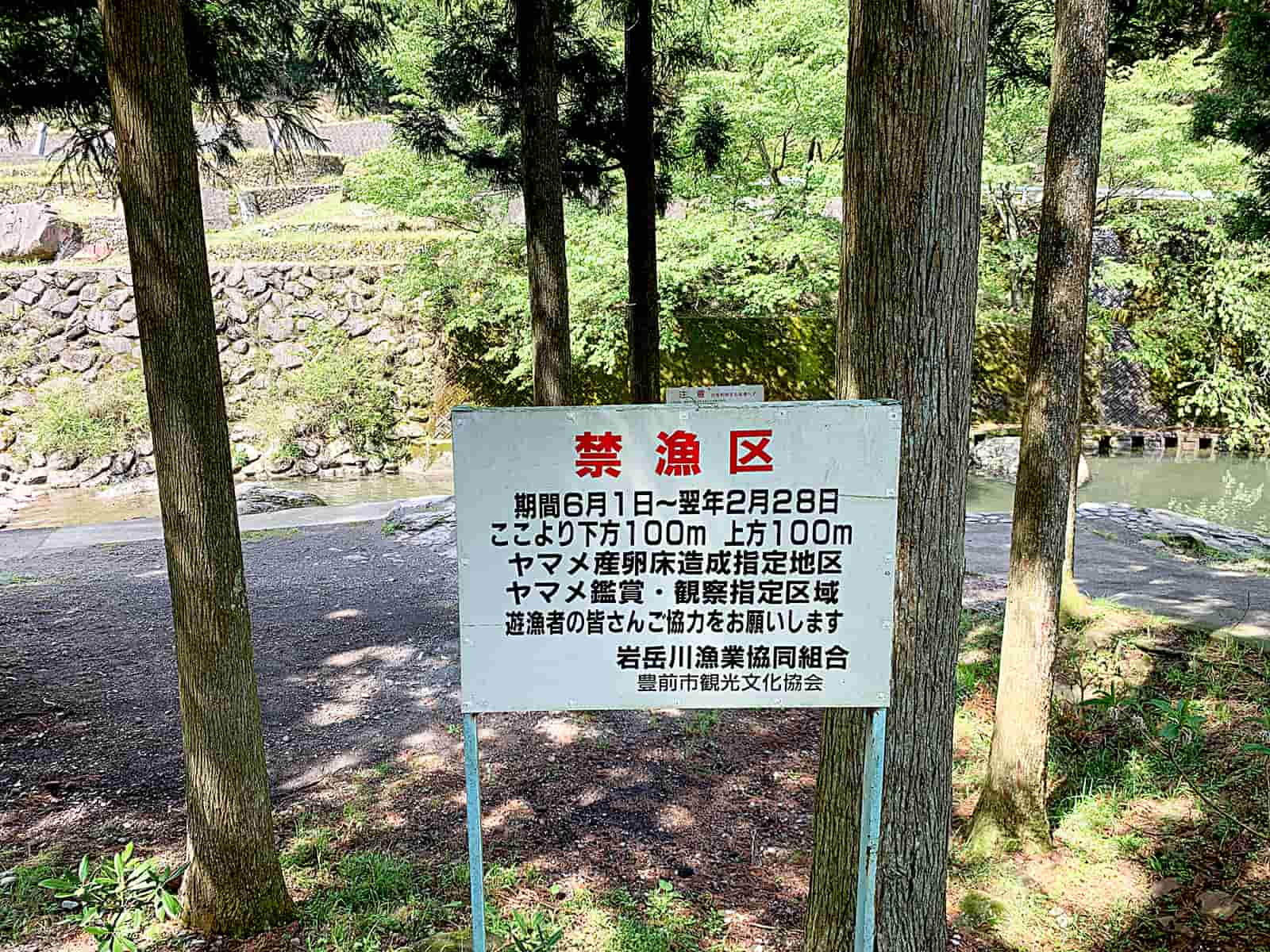 いくつかの河川には「禁漁区」あり記載通りの保全が行なわれている