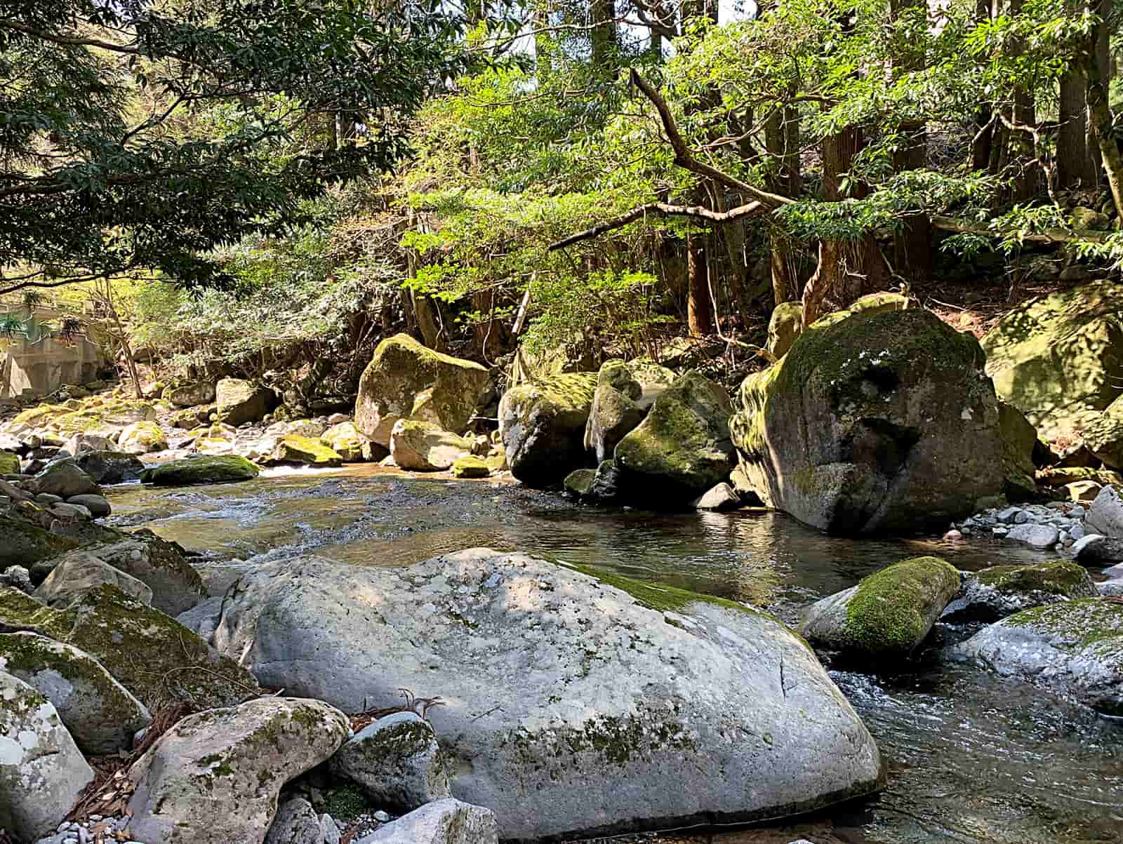 魚が跳ねて釣れる雰囲気満載の瀬を見るとつい力が入る。そして瀬を潰す。技より精神が試されているのだ