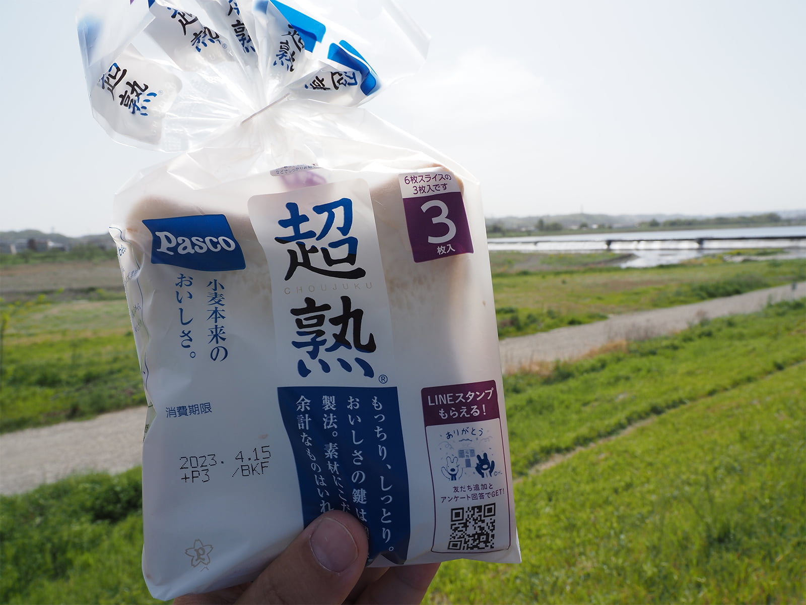 ロッドとリールとフックのほかに必要なのは食パンだけ。練りエサも生きエサも、ルアーも必要ない。この手軽さがパンコイの魅力。ピクニック気分で楽しむのもイイ