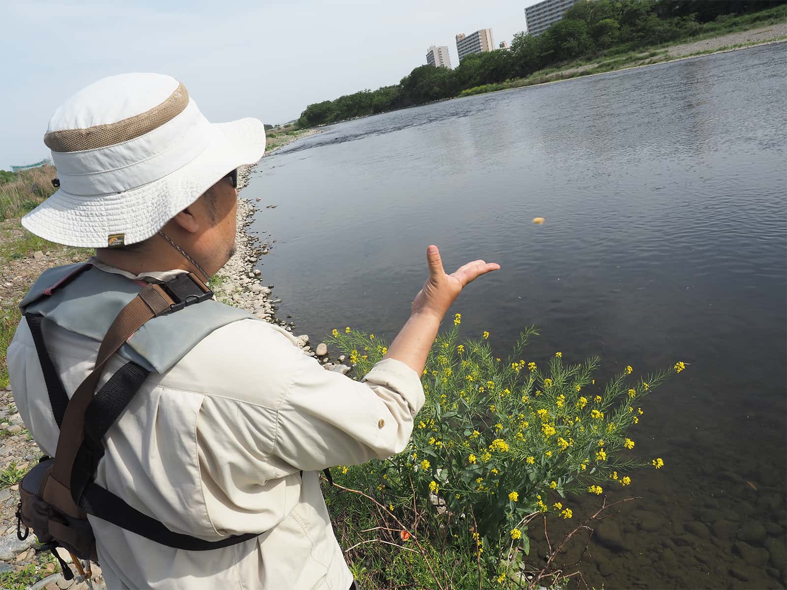 パンを指で弾き飛ばして撒く。闇雲に撒くのではなく、仕掛けを流すコースへとコイを導きながら撒くのがポイント。チャミングによって、釣りやすい場所、コースを育てるのだ