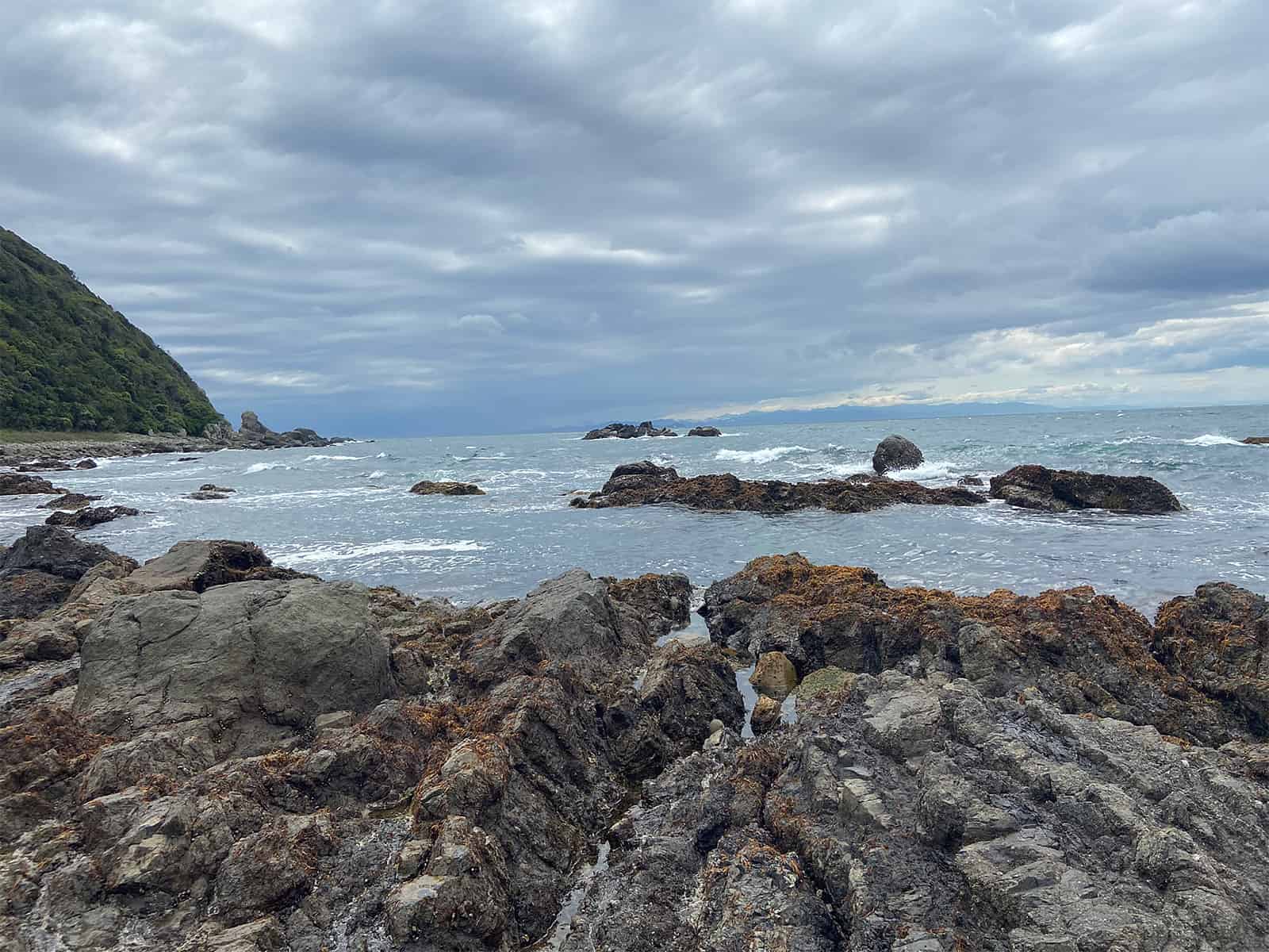釣り場風景