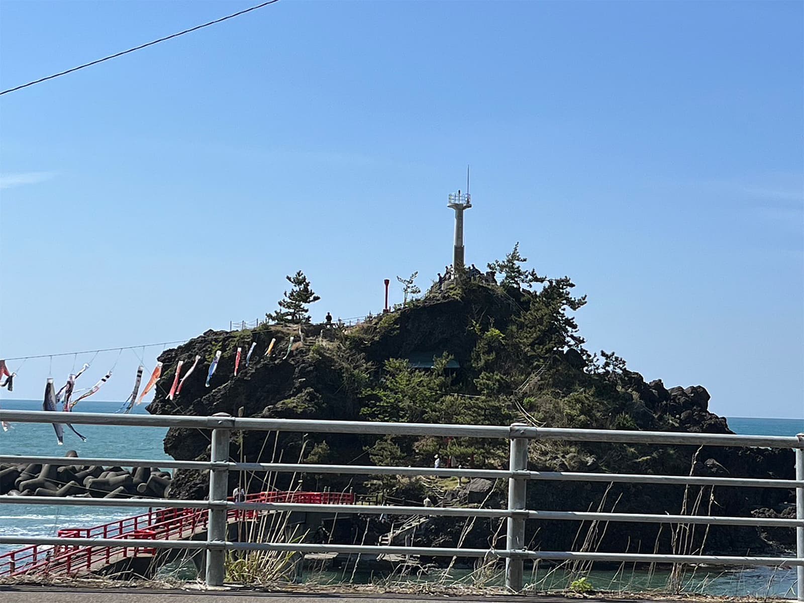 日本海に架かる鯉のぼりも北風になびいていた