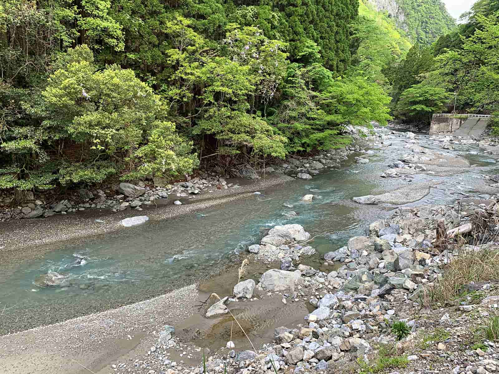 梶原川3日目の朝、土砂が積もる