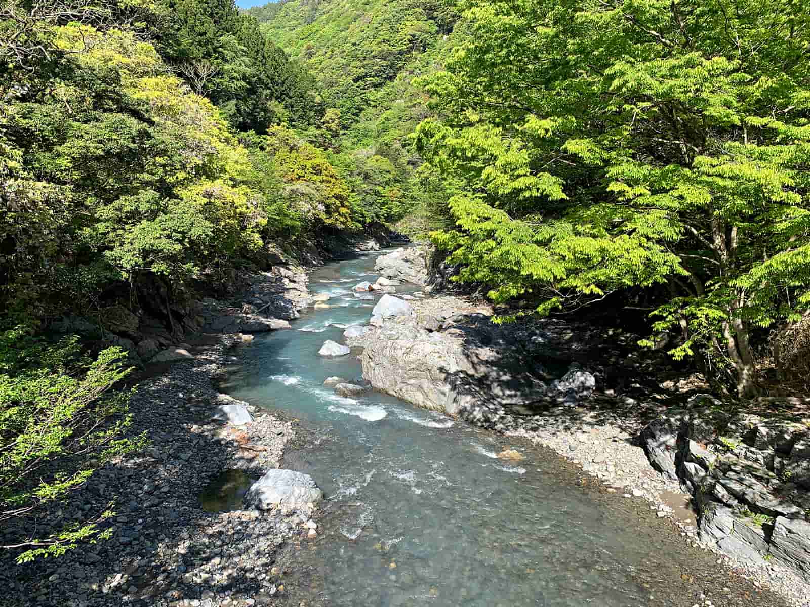 川辺川上流も…