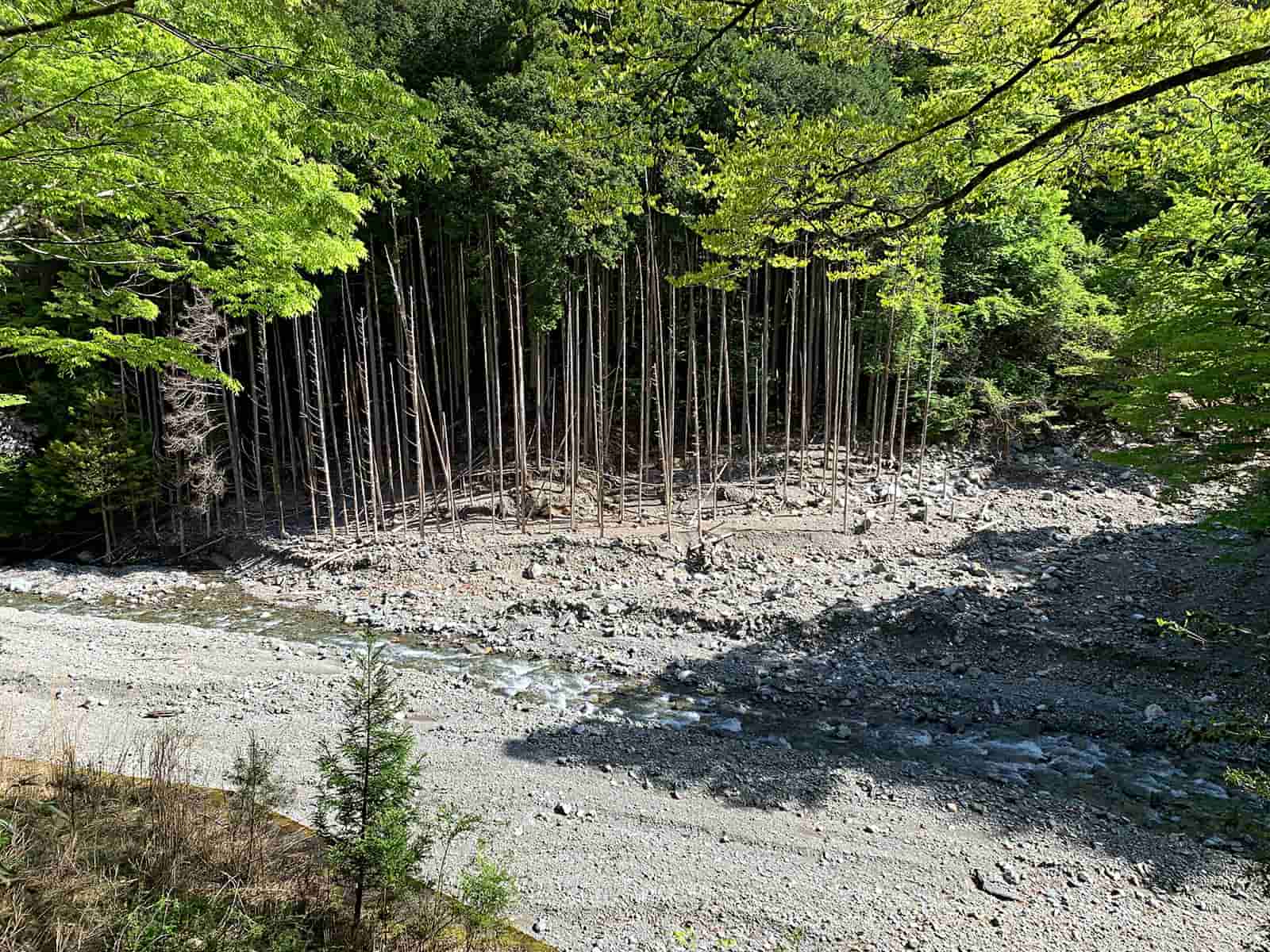 A地点。五木ダムに注ぐ支流の瀬にも土砂が積もる