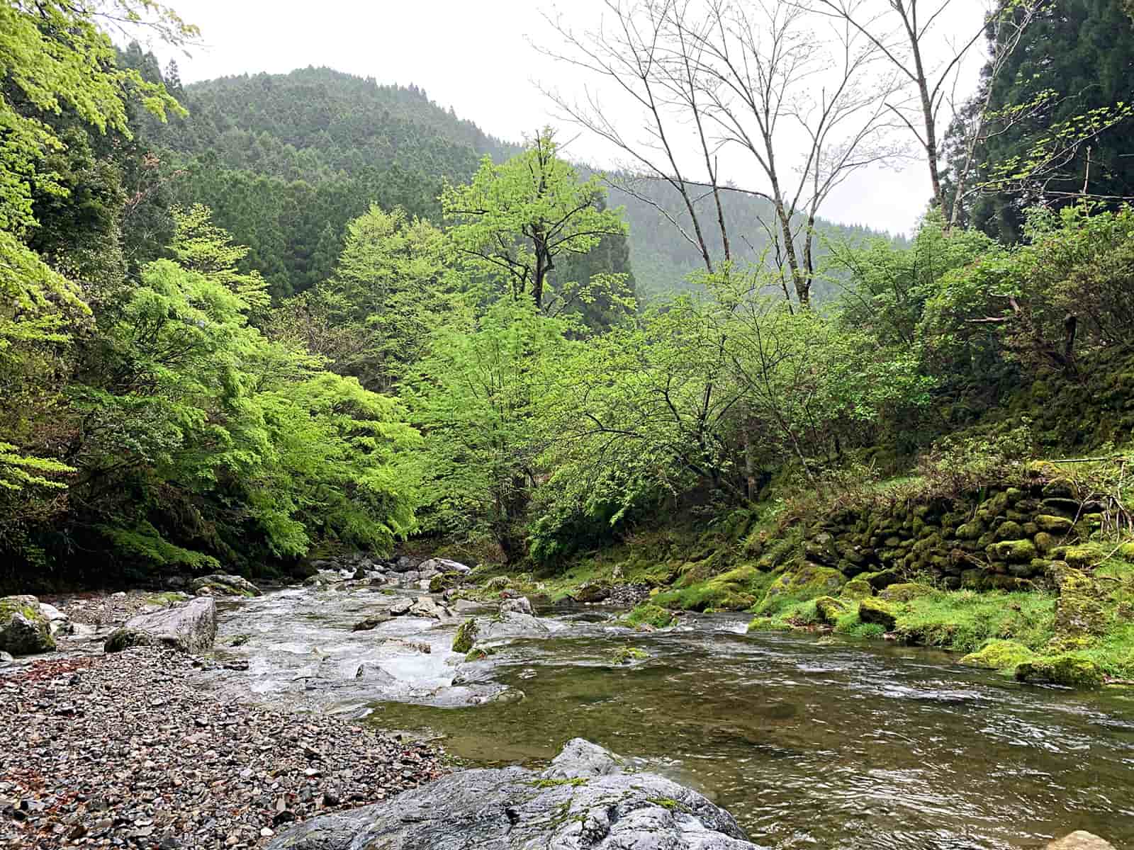 移動した先の馴染みの瀬、その2。夕方、怪しい雲行きになったが、そのお陰かヤマメは果敢だった