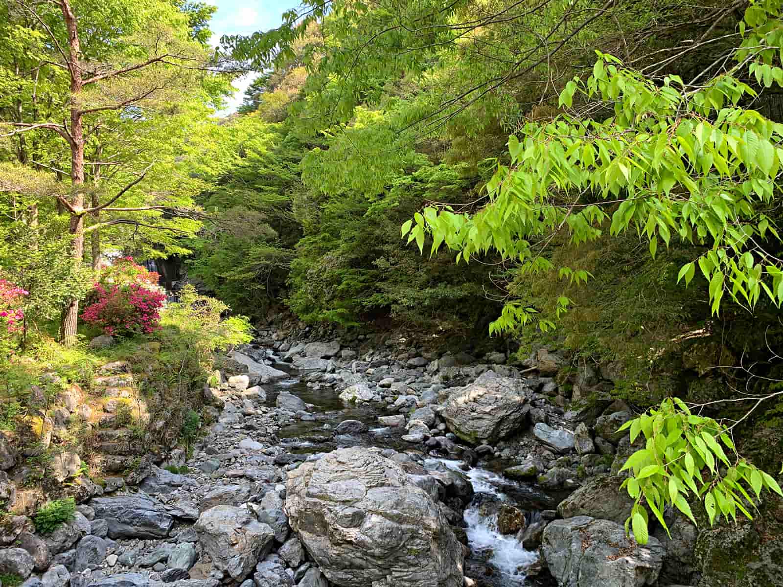 美しい渓だった。命を賭して（大袈裟な）来ただけの甲斐があった