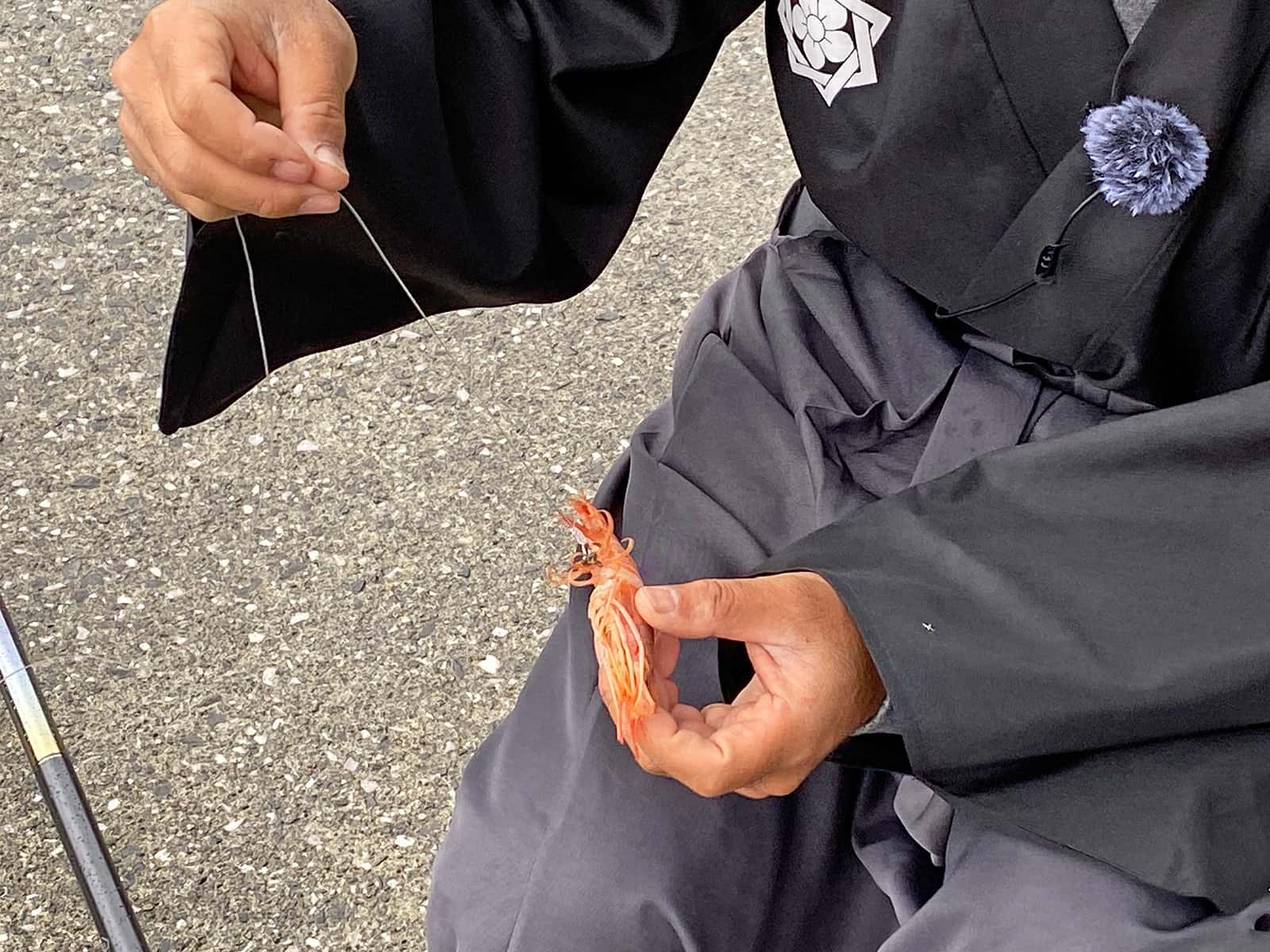 まさにエビで鯛（コブダイ）を釣る。貝やキビナゴの場合は房掛け、複合することも