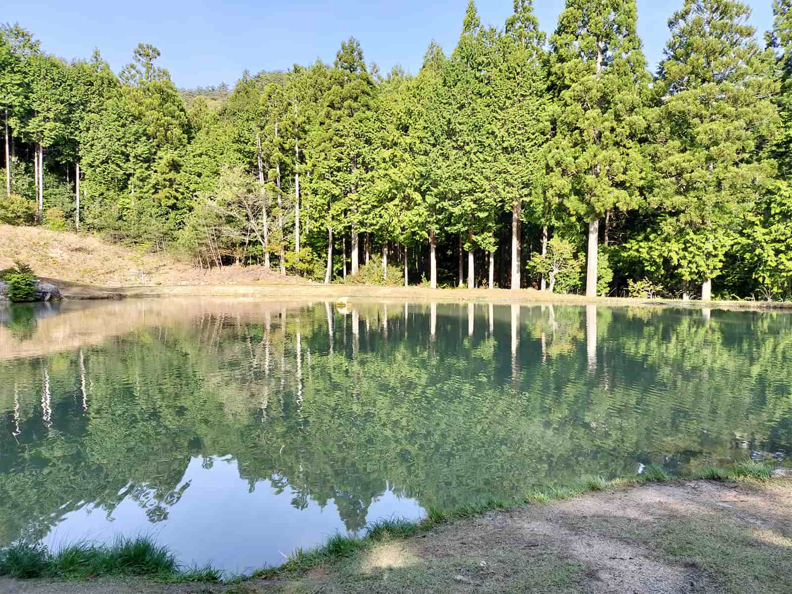管理事務所前の「ミックスポンド」。数が釣れるので、この池を中心に釣りを組み立てる事をお勧めする。大型もいるので油断できない