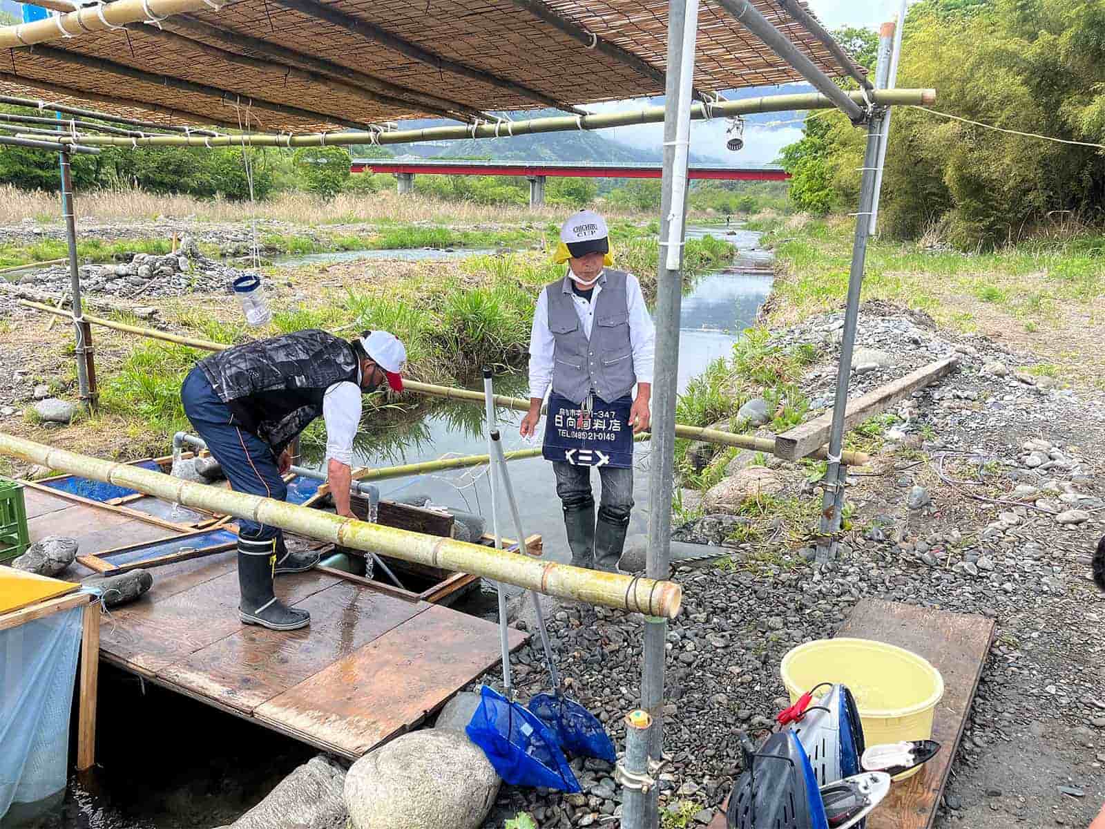 いよいよオトリ購入。おとりは1匹600円