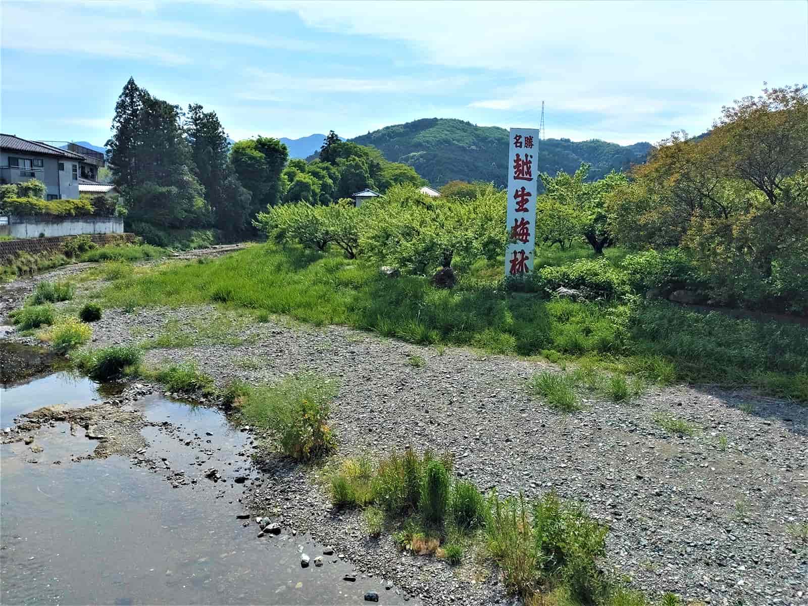 越生梅林前の越辺川