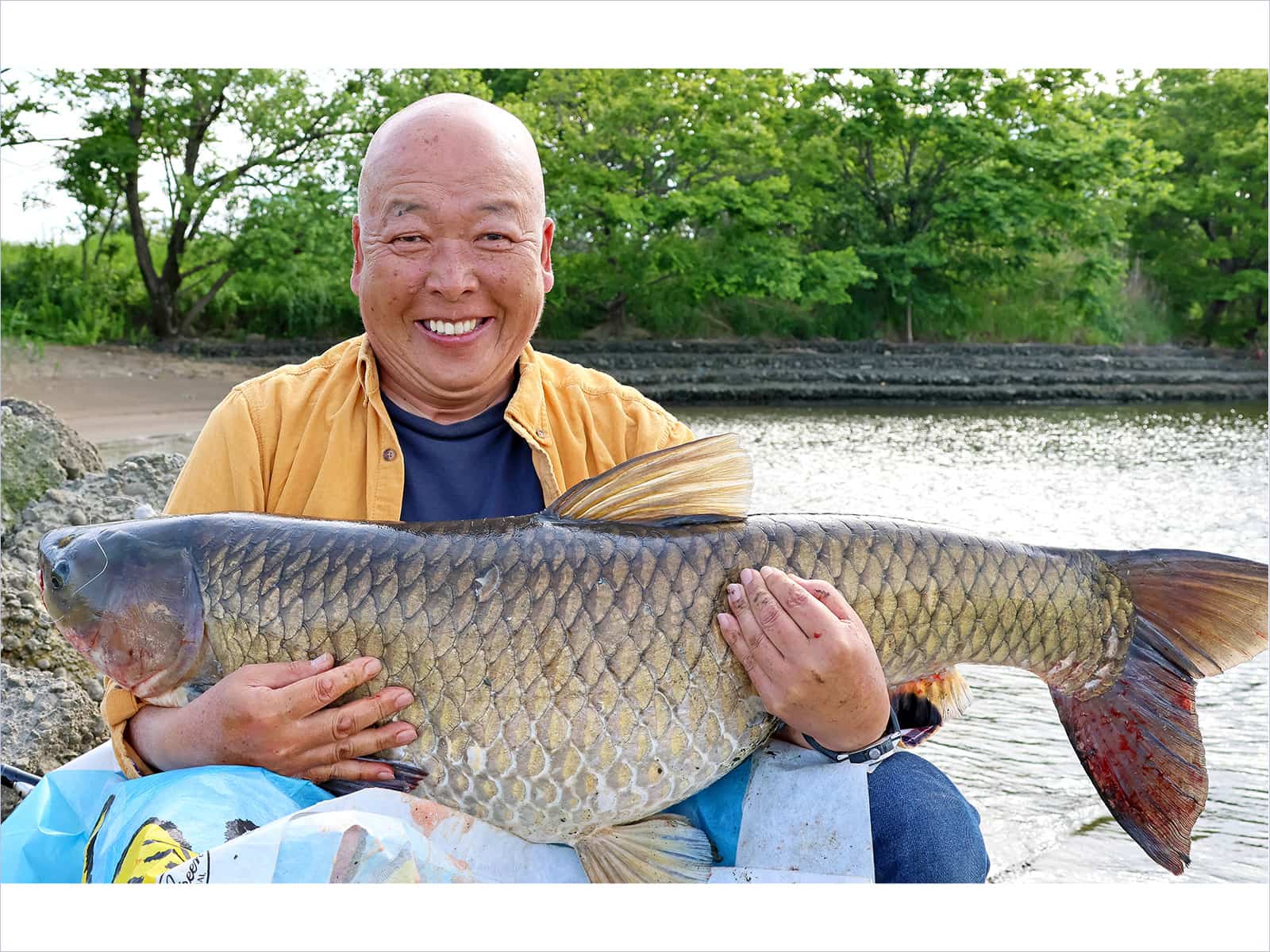 草魚105cm20kgオーバー、荒川右岸京浜東北線鉄橋下流300m