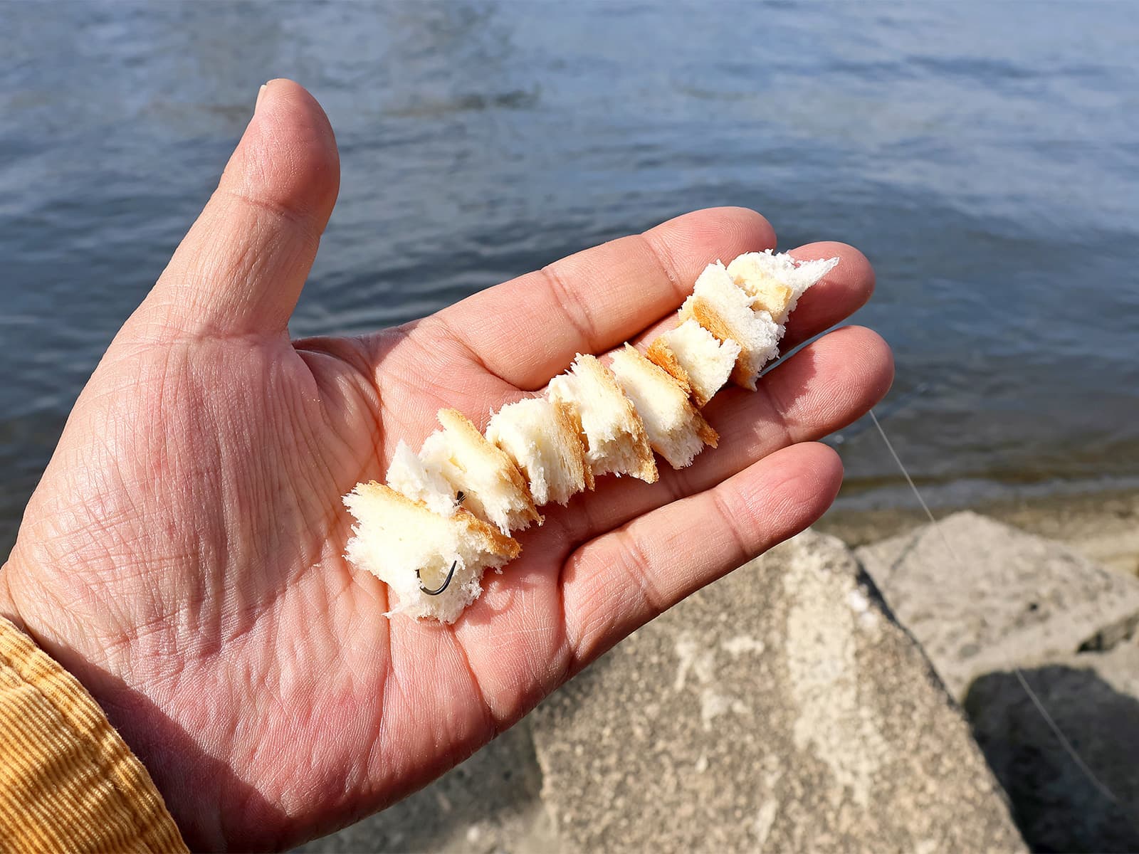 流す時、水面で流しの時の餌付け