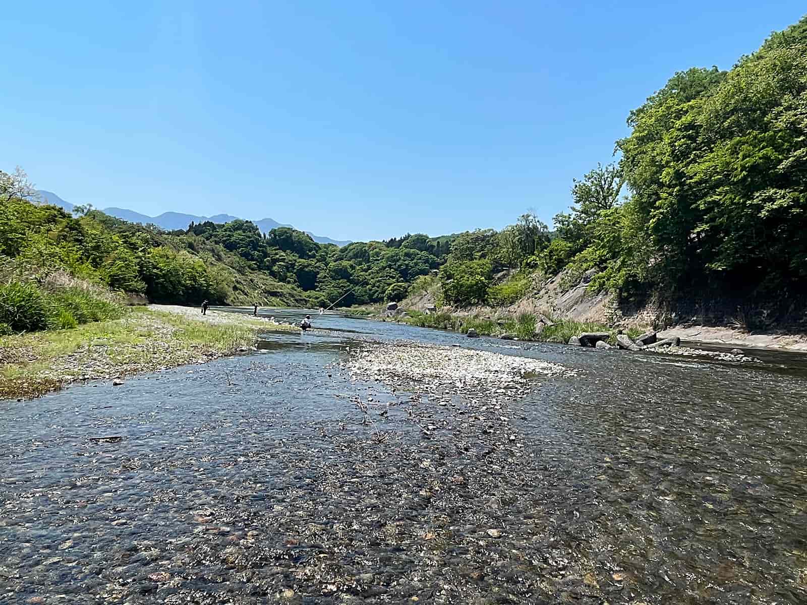 左岸は埋まっていたので右岸の溜りで釣り開始！